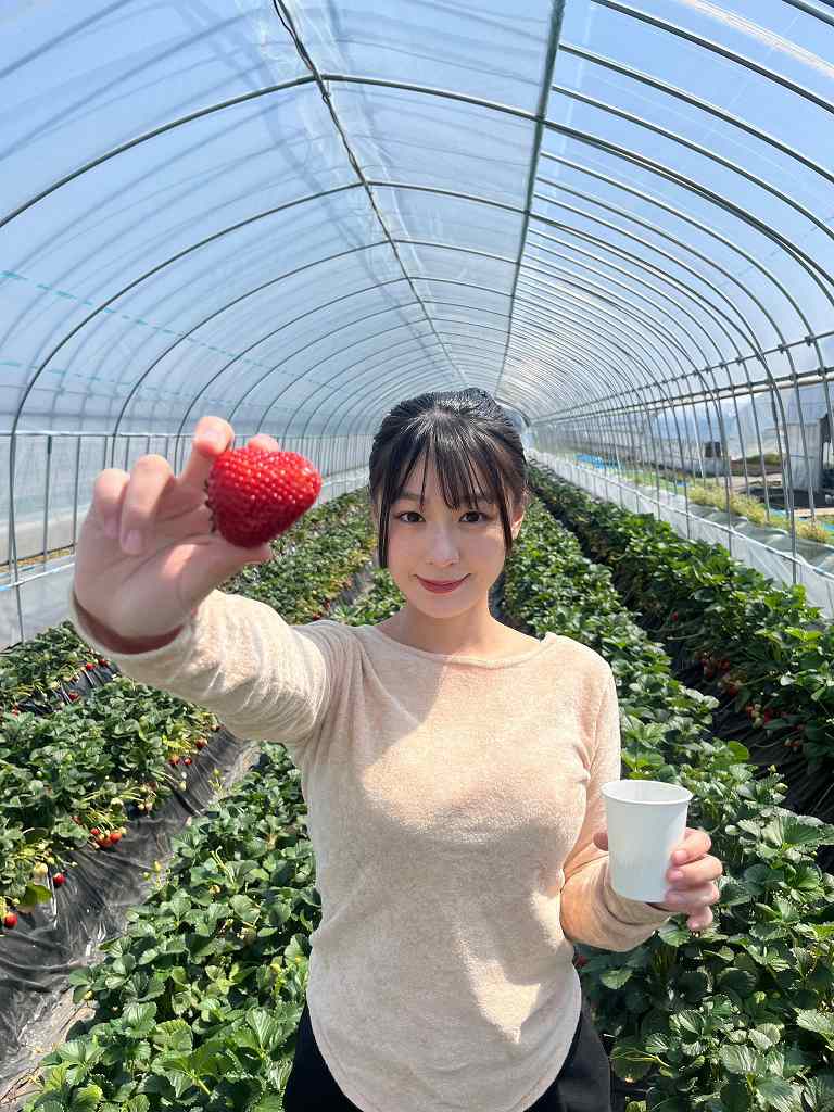 髙野真央 Gカップボインの水着グラビア画像！