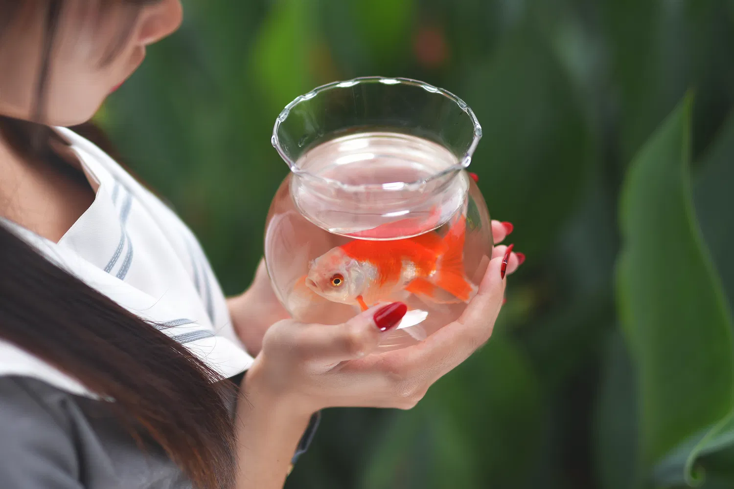 二佐Nisa - NO.063 JK合集