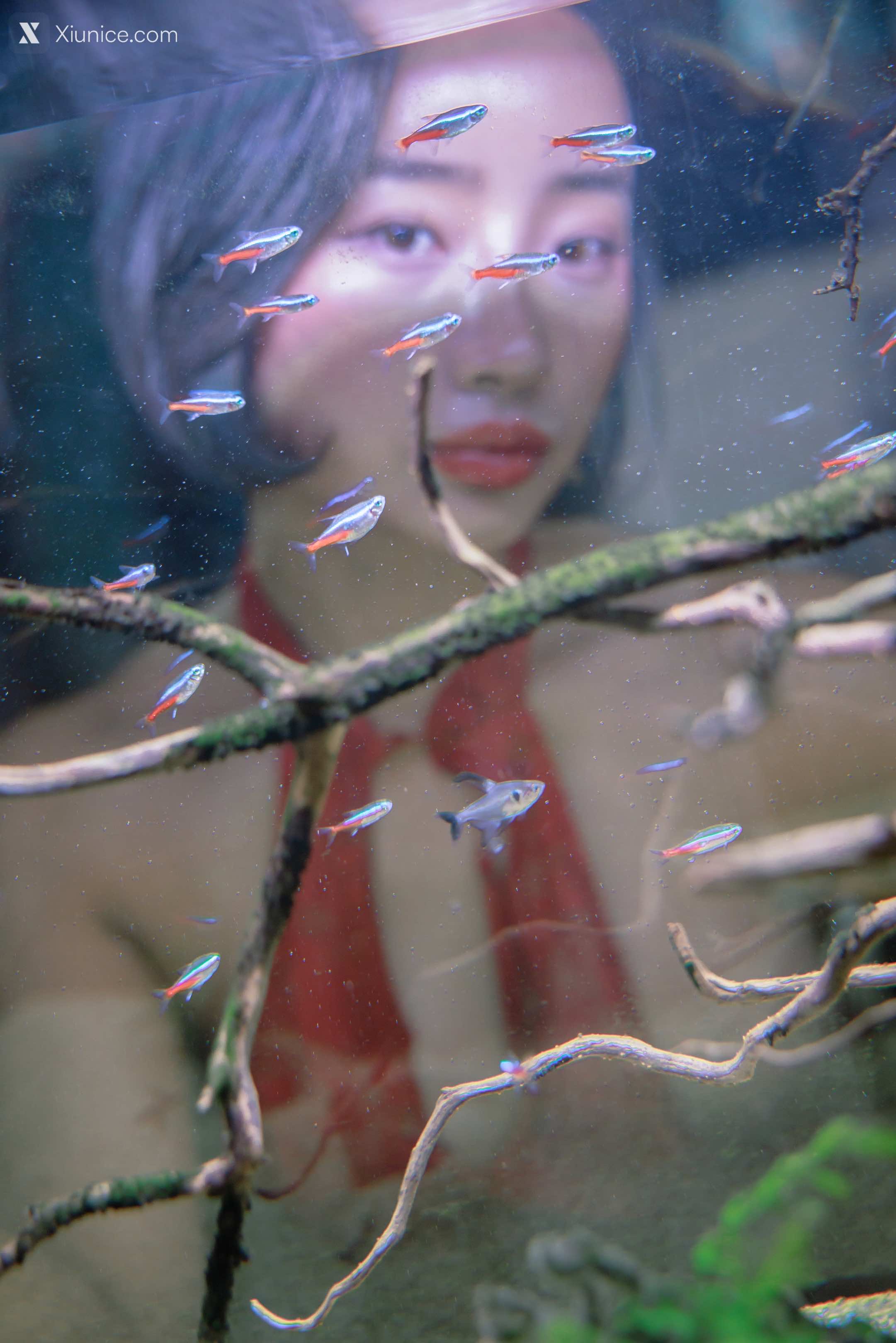 SweetBox Booty Queen – Vol.011 Hip Queen 4K