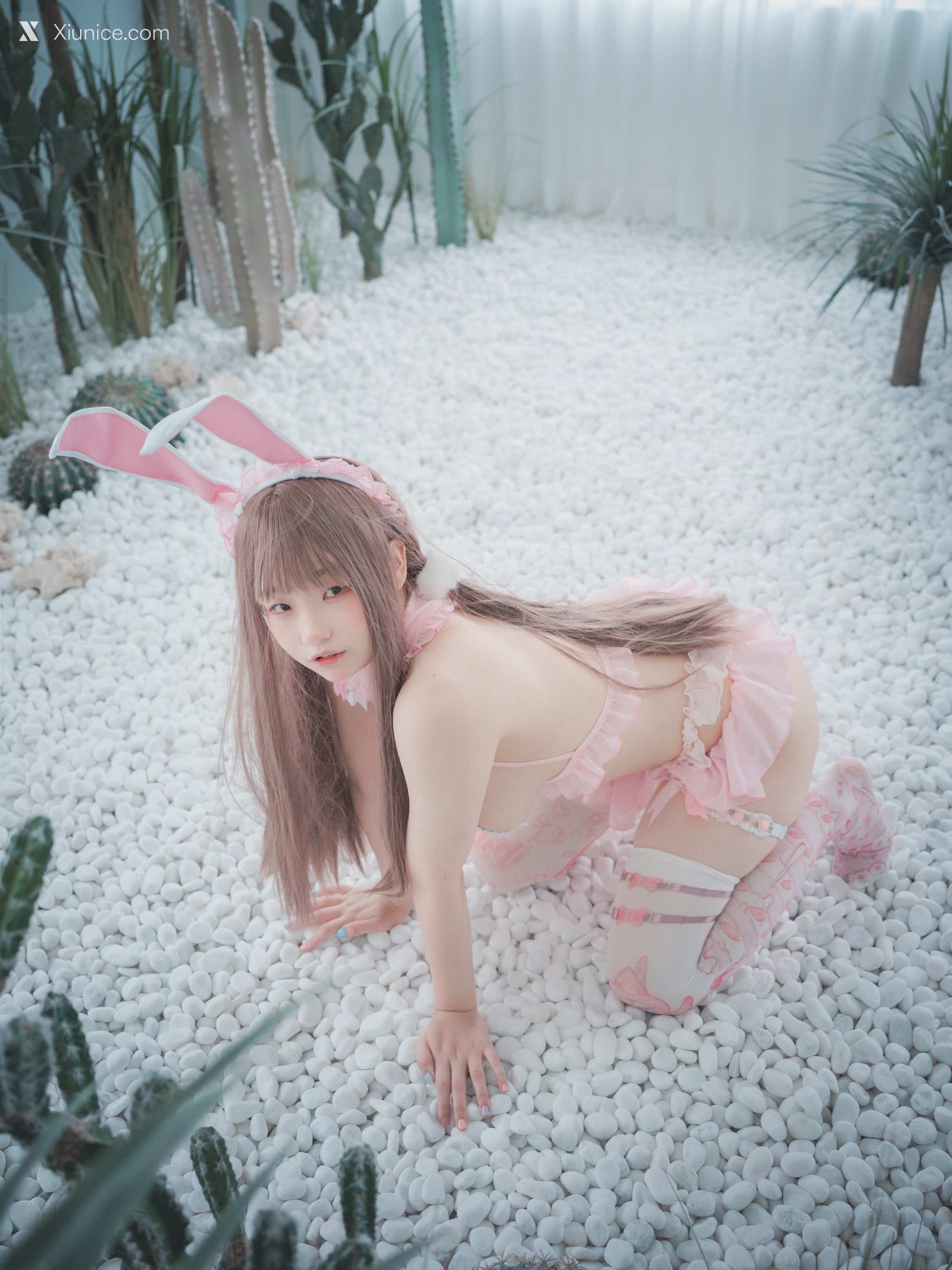 DJAWA Photo – Mimmi (밈미) – March Hare 4K
