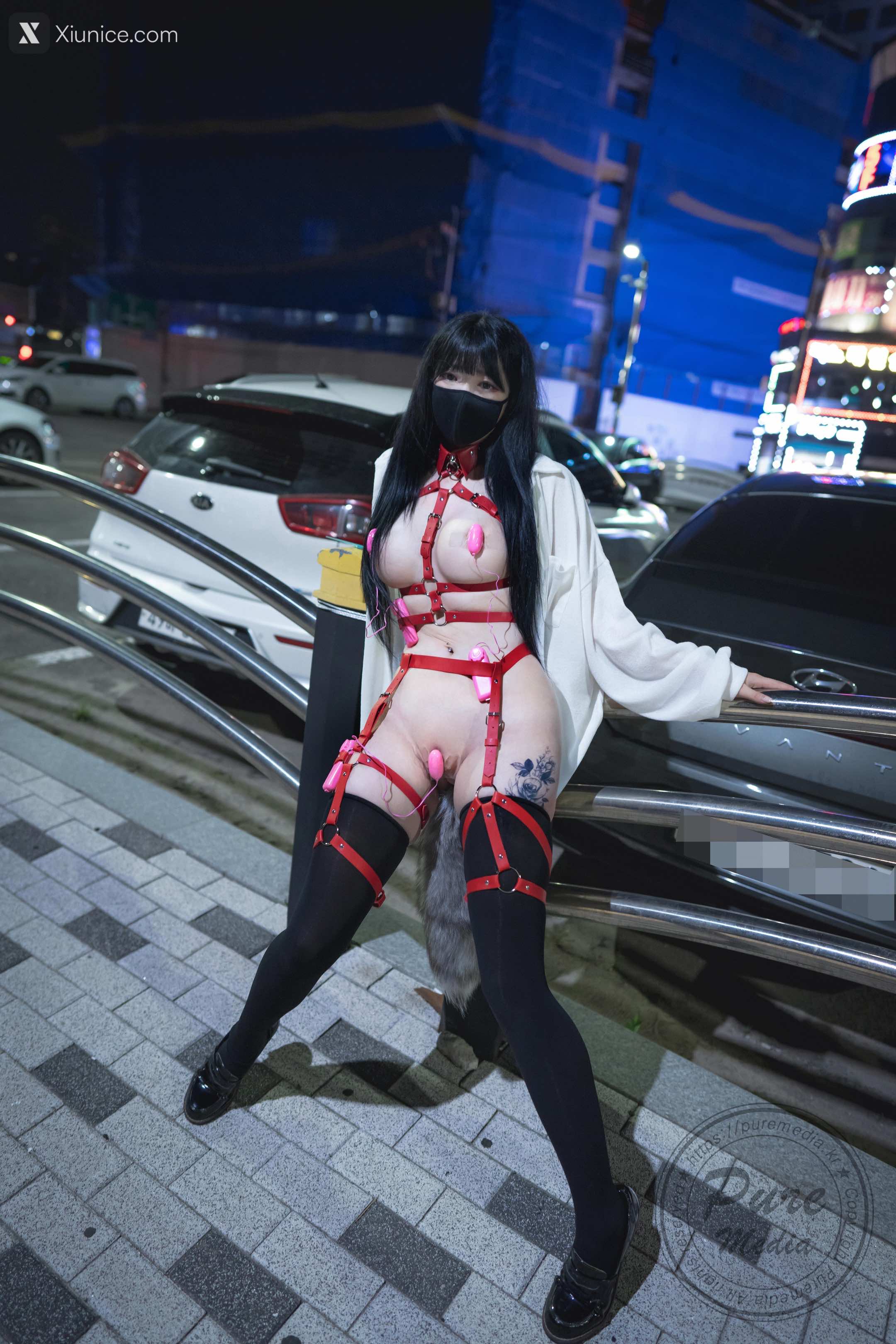 Pure Media Vol.205 Aram (아람) – The Day of Slave + Bonus 4K