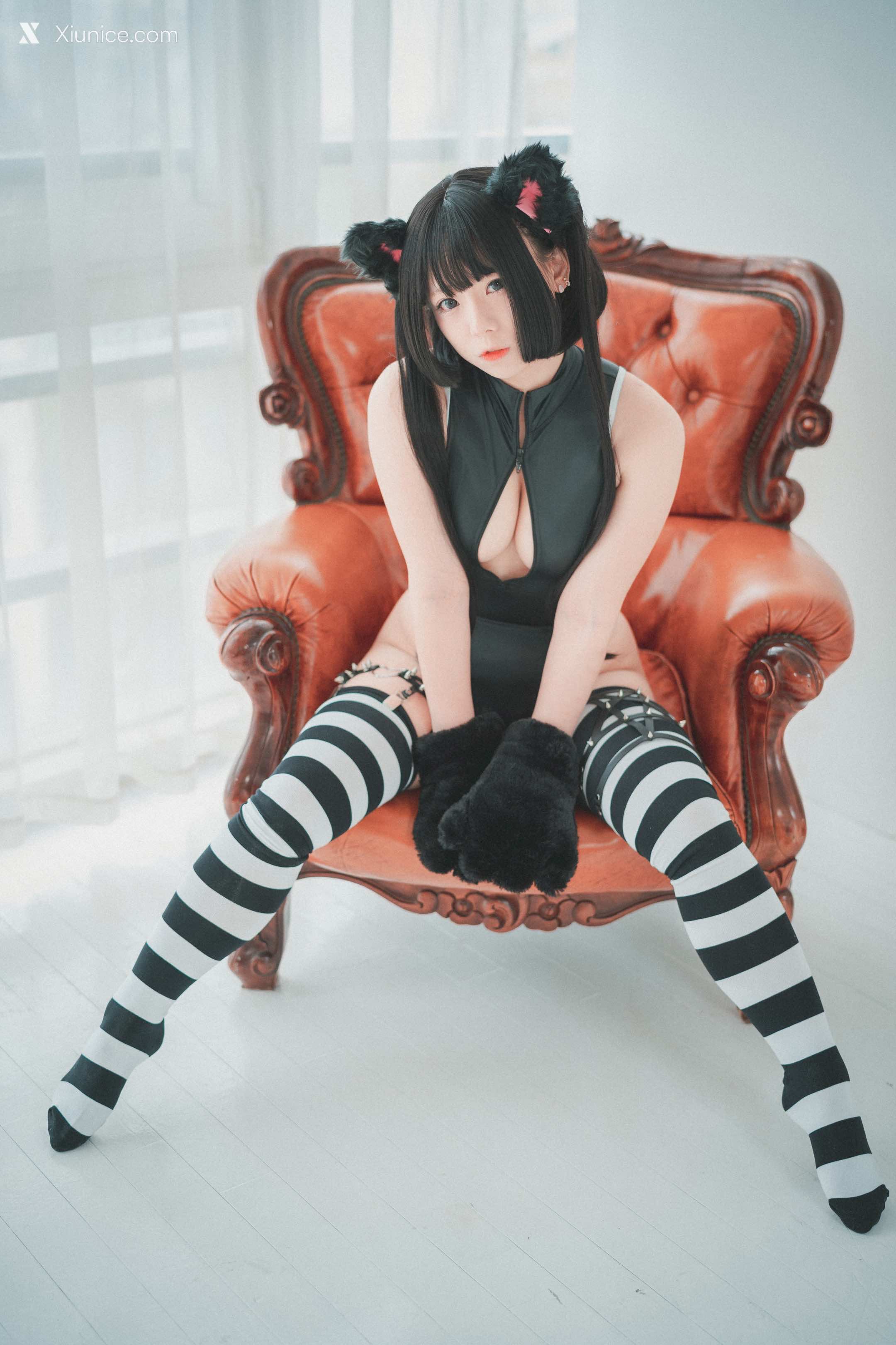 DJAWA Photo – Maruemon (마루에몽) – “Realised Feral Cat” 4K