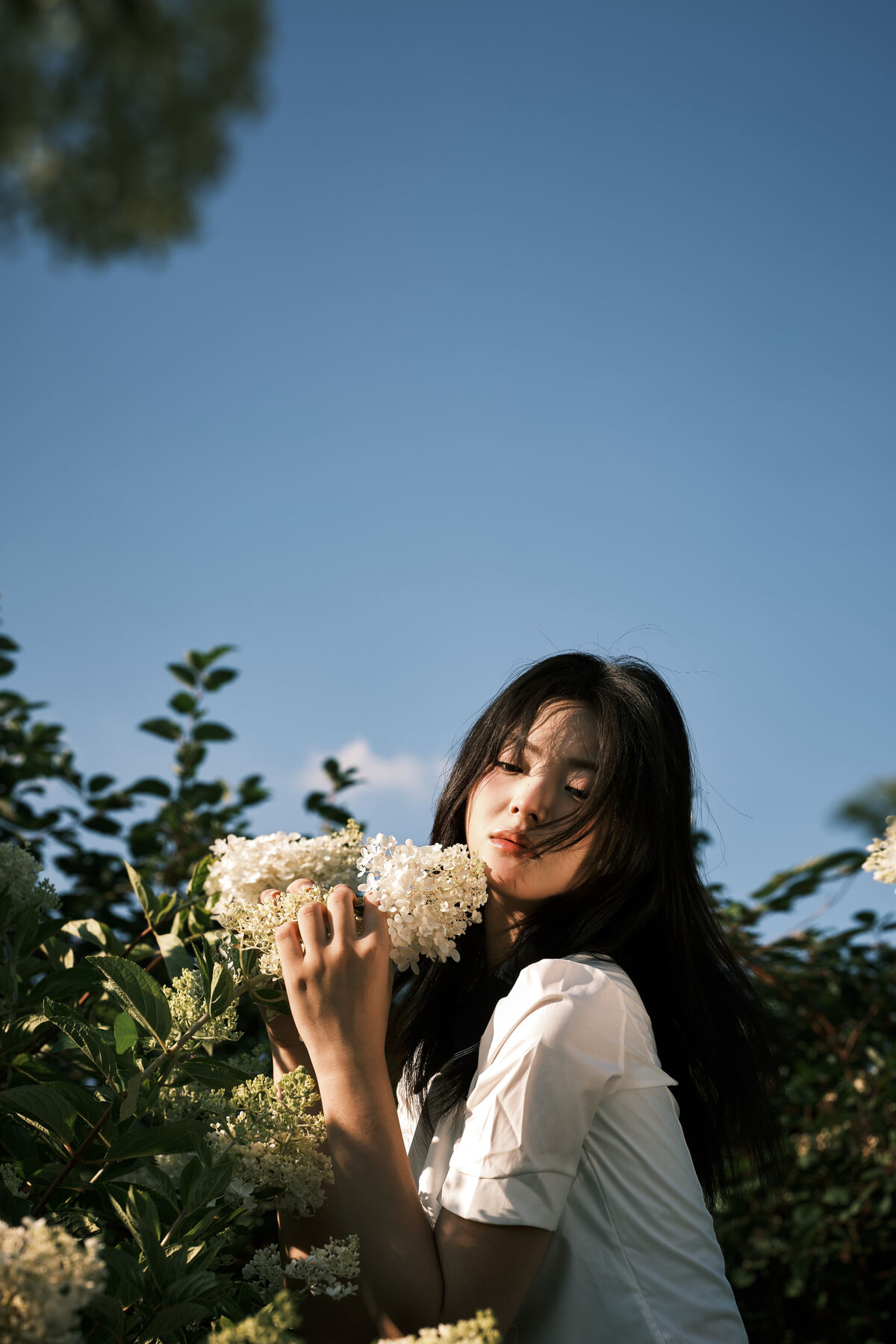 YiTuYu艺图语 Vol.10033 Zha Yang Yu