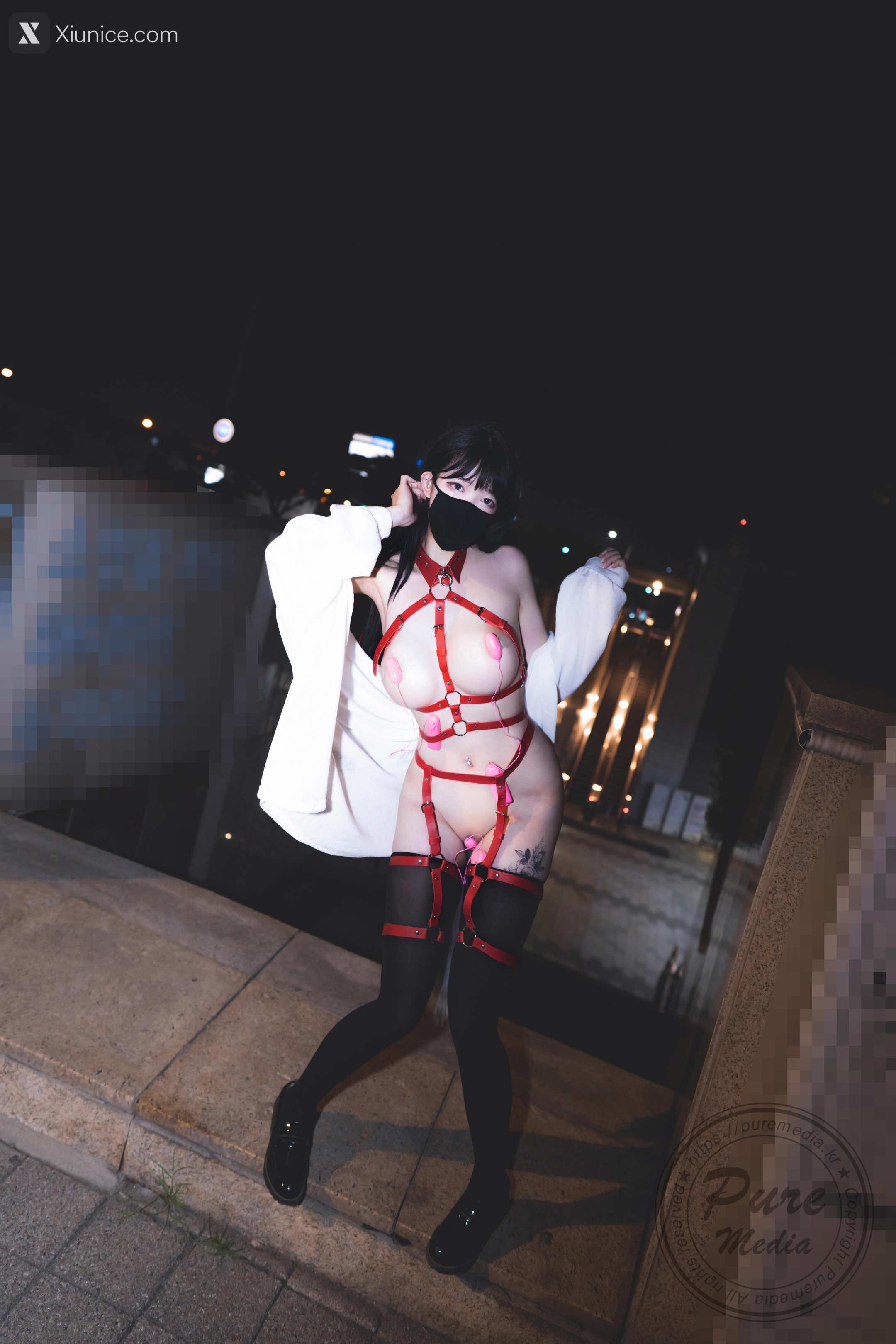 Pure Media Vol.205 Aram (아람) – The Day of Slave + Bonus 4K