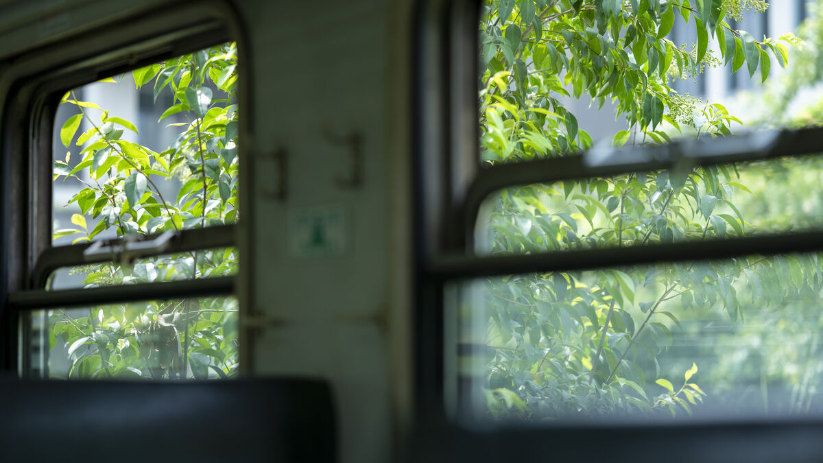 YiTuYu艺图语 Vol.10076 A Miao De Fan Fan