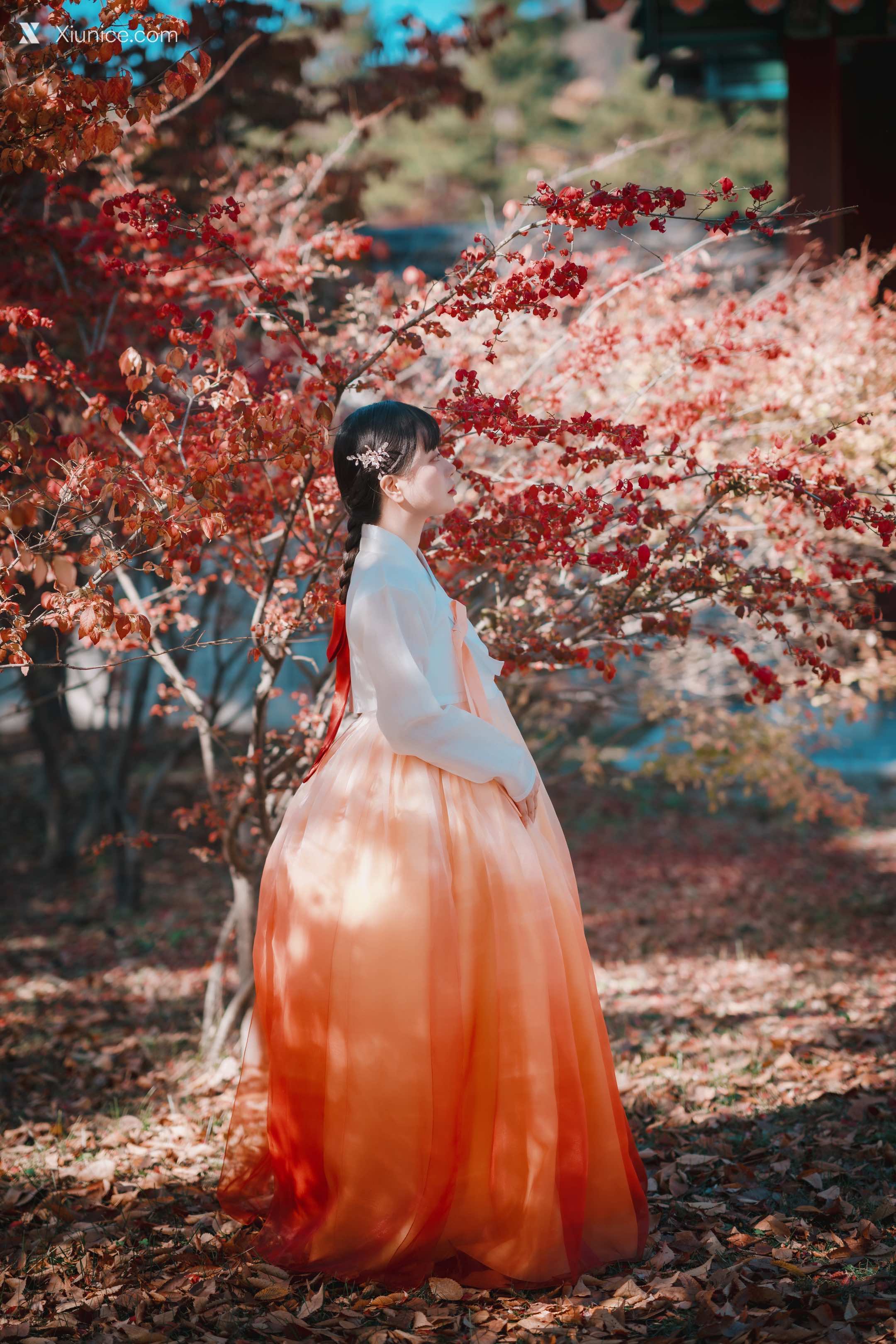 DJAWA Photo – DJAWA Photo – ZziZzi – Chuseok 4K