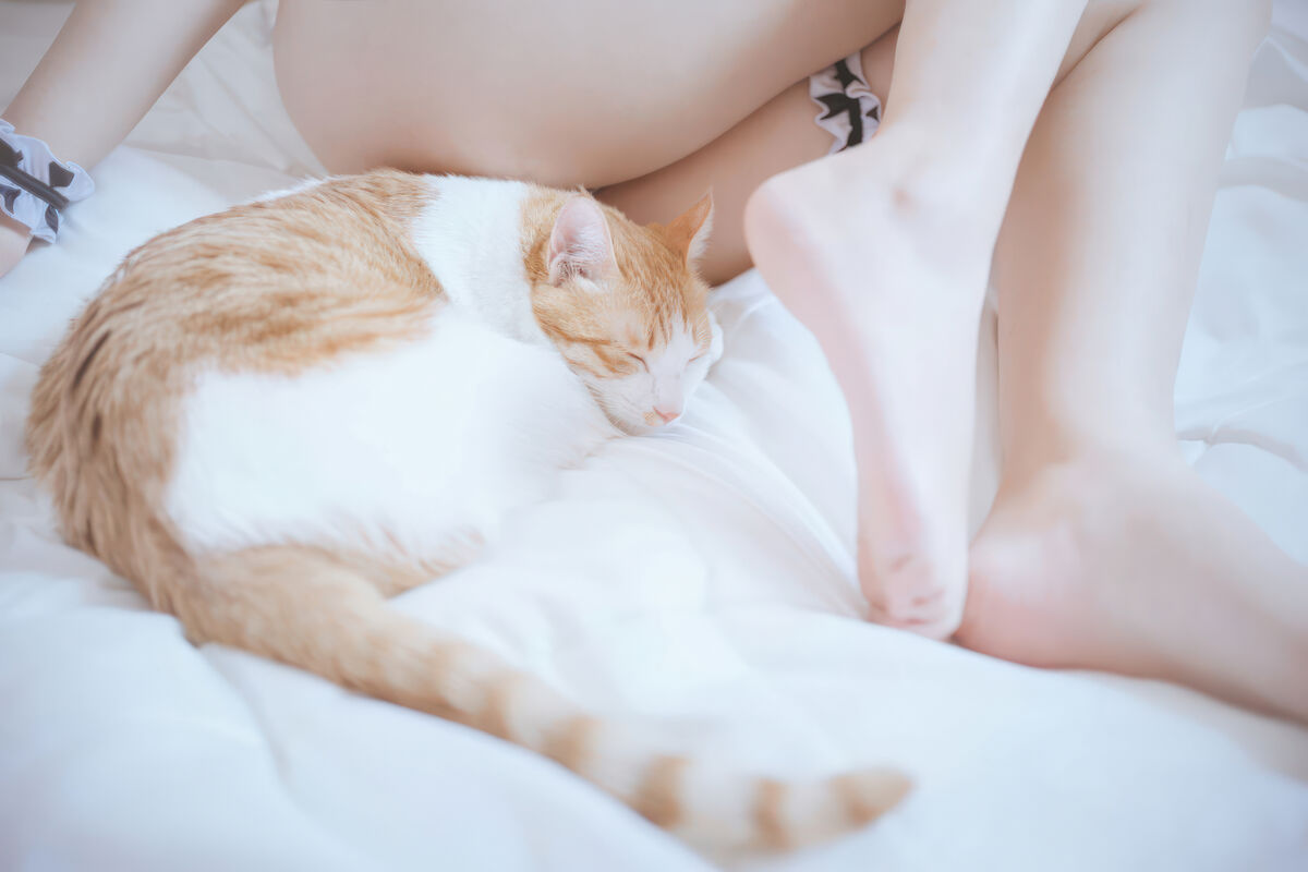 Coser@阿半今天很开心 - 奶牛比基尼