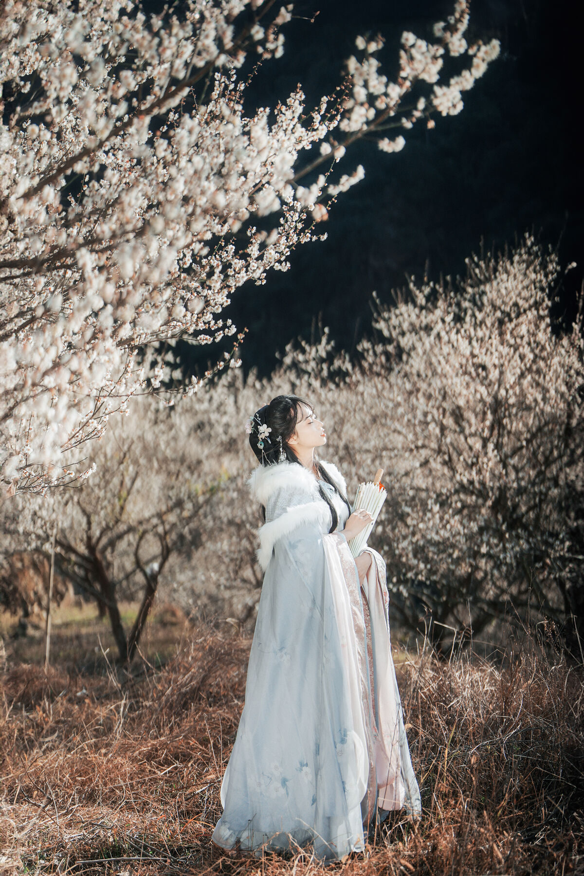 YiTuYu艺图语 Vol.10209 Nan You Chen Miao Miao