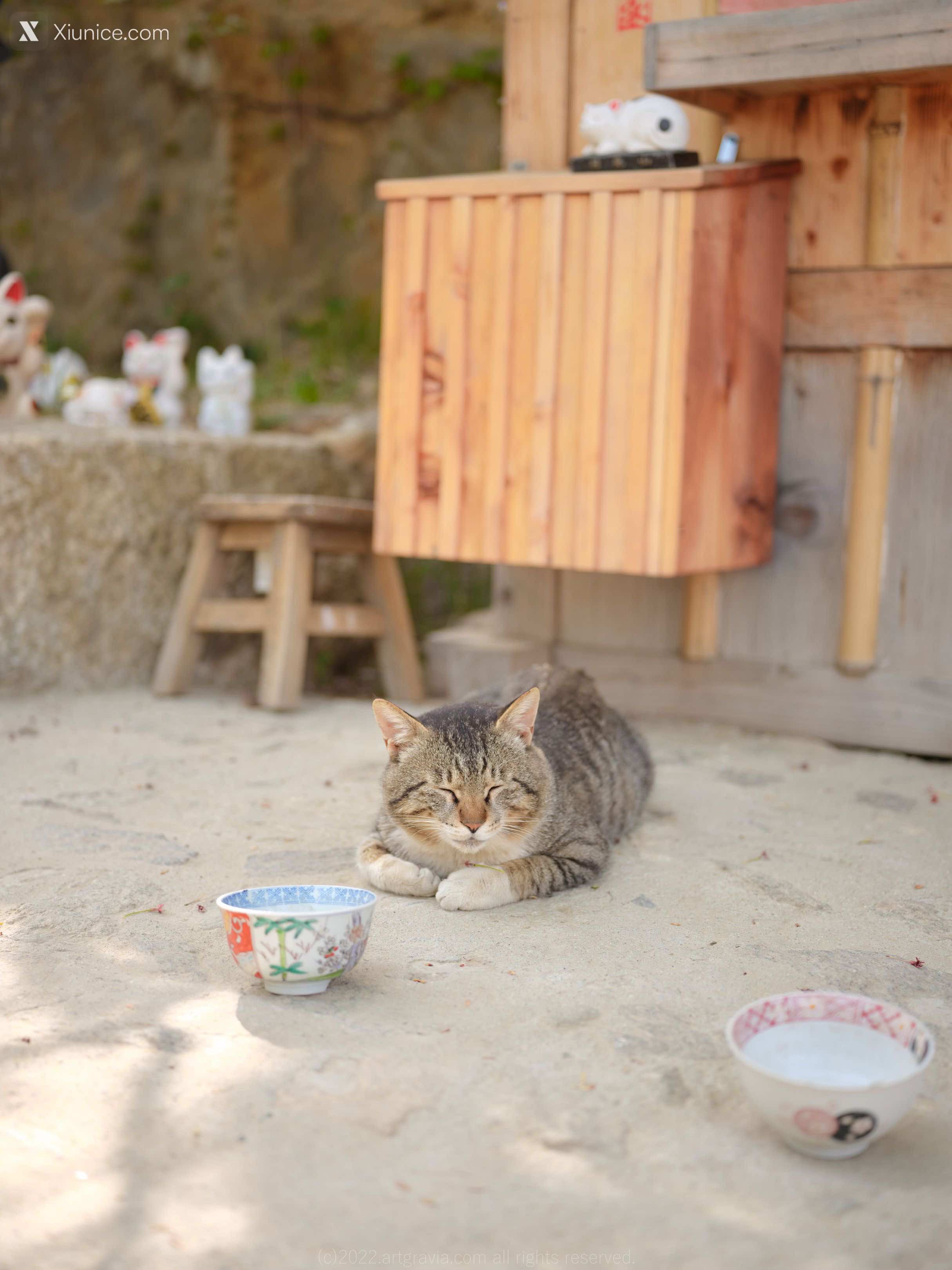 Artgravia Vol.401 Kang In-kyung (강인경) 4K