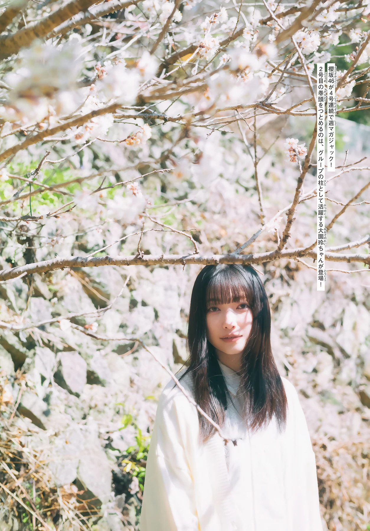 Sakurazaka46 櫻坂46, Shonen Magazine 2026 No.21 (週刊少年マガジン 2026年21号)