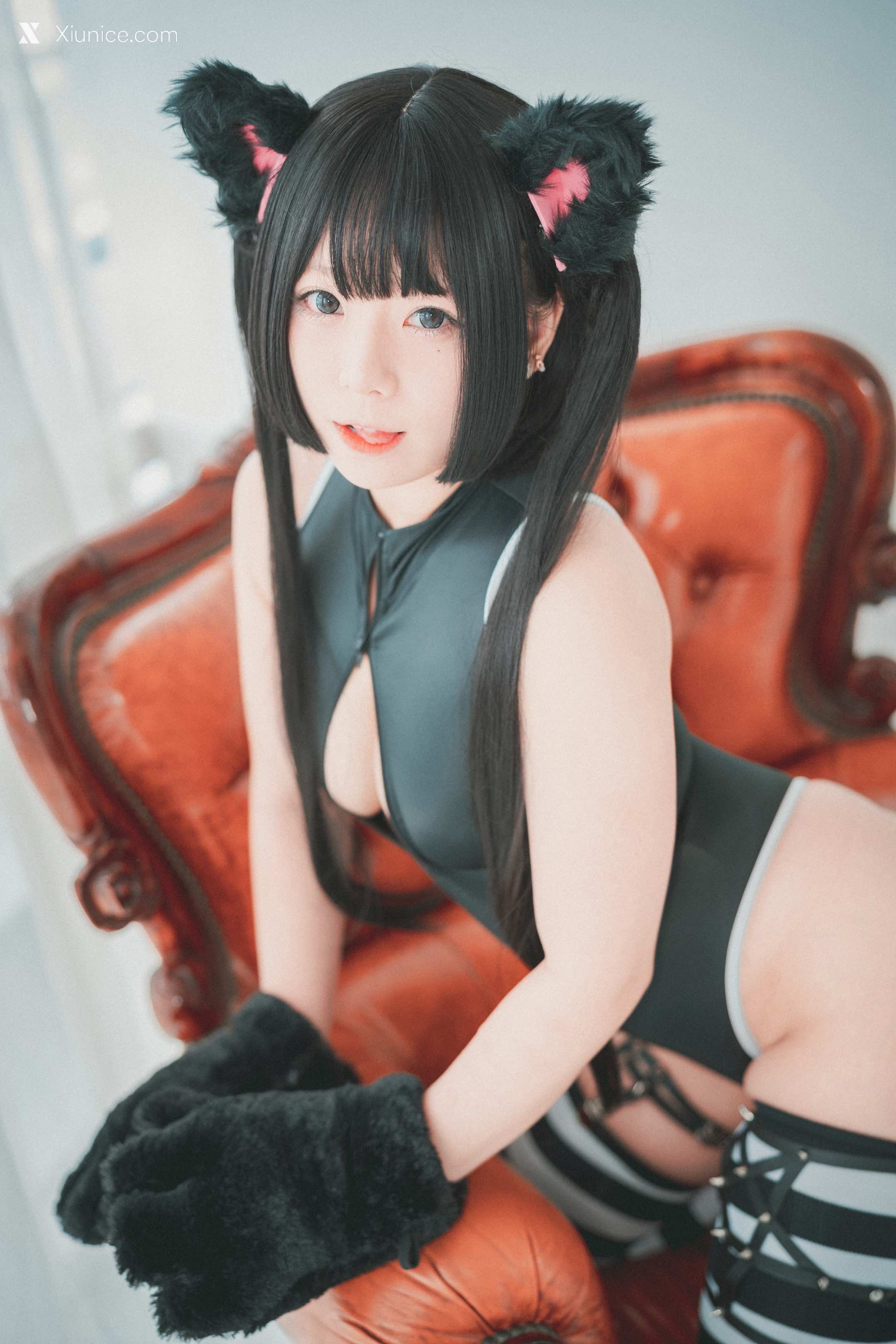 DJAWA Photo – Maruemon (마루에몽) – “Realised Feral Cat” 4K