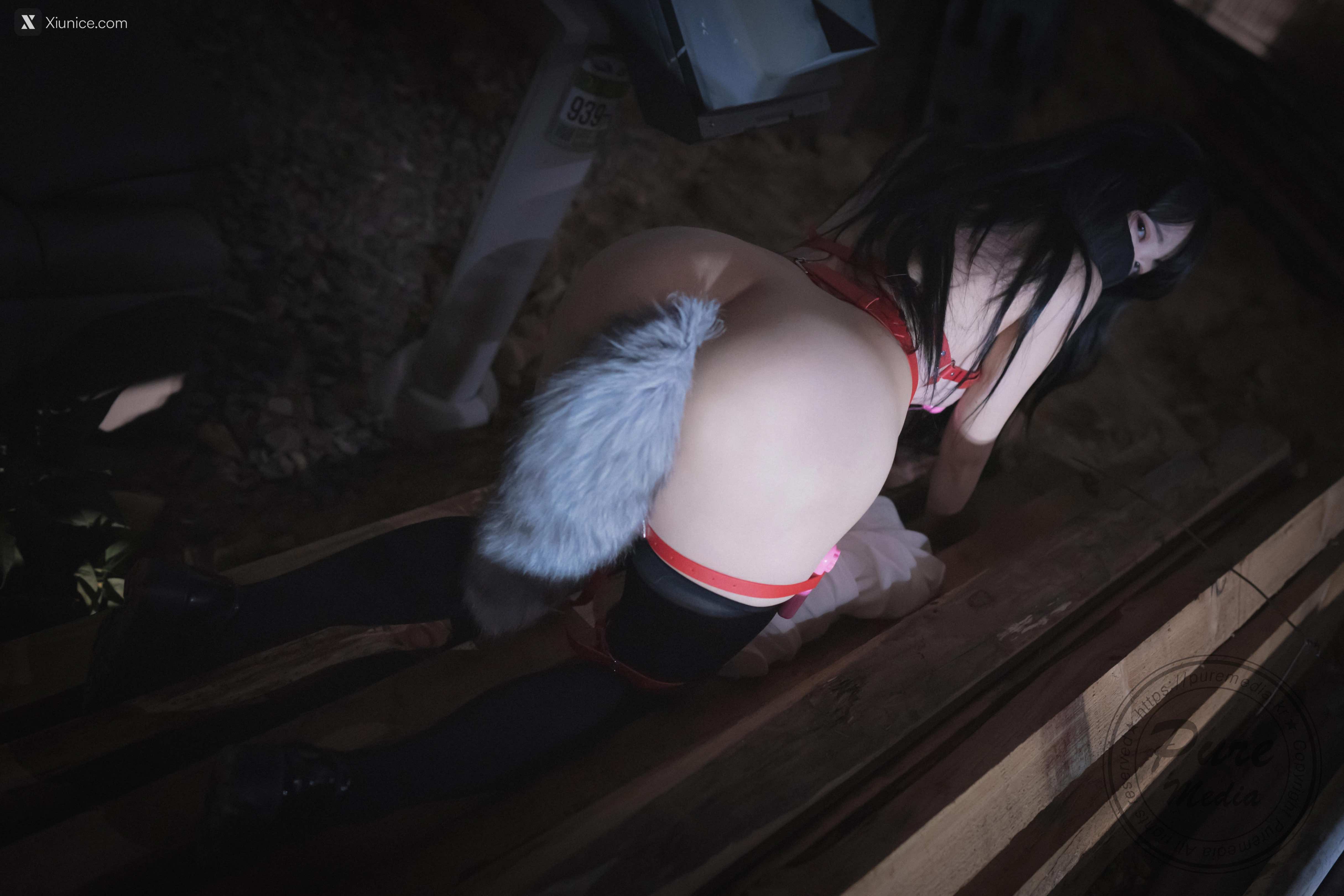 Pure Media Vol.205 Aram (아람) – The Day of Slave + Bonus 4K