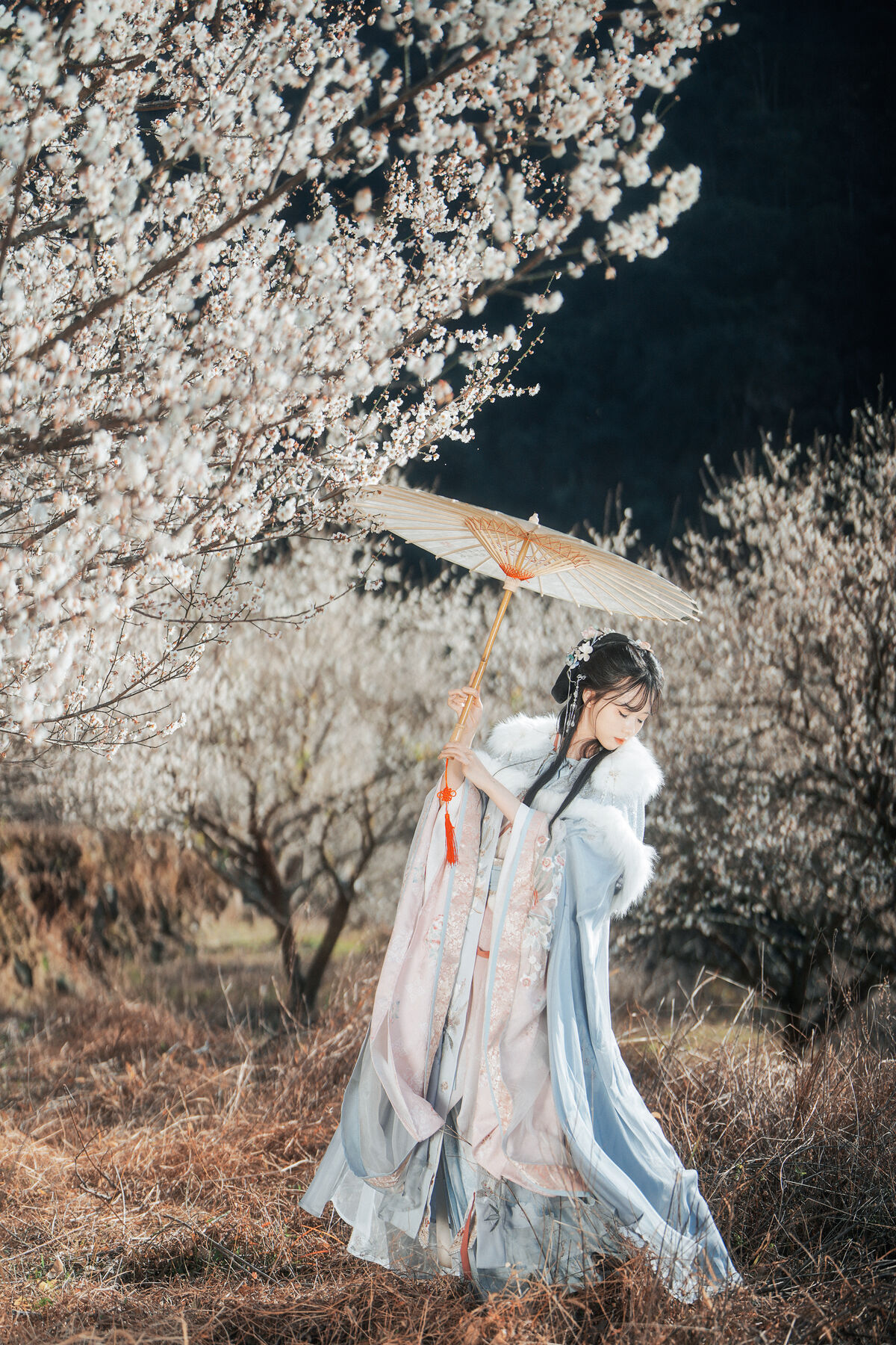 YiTuYu艺图语 Vol.10209 Nan You Chen Miao Miao