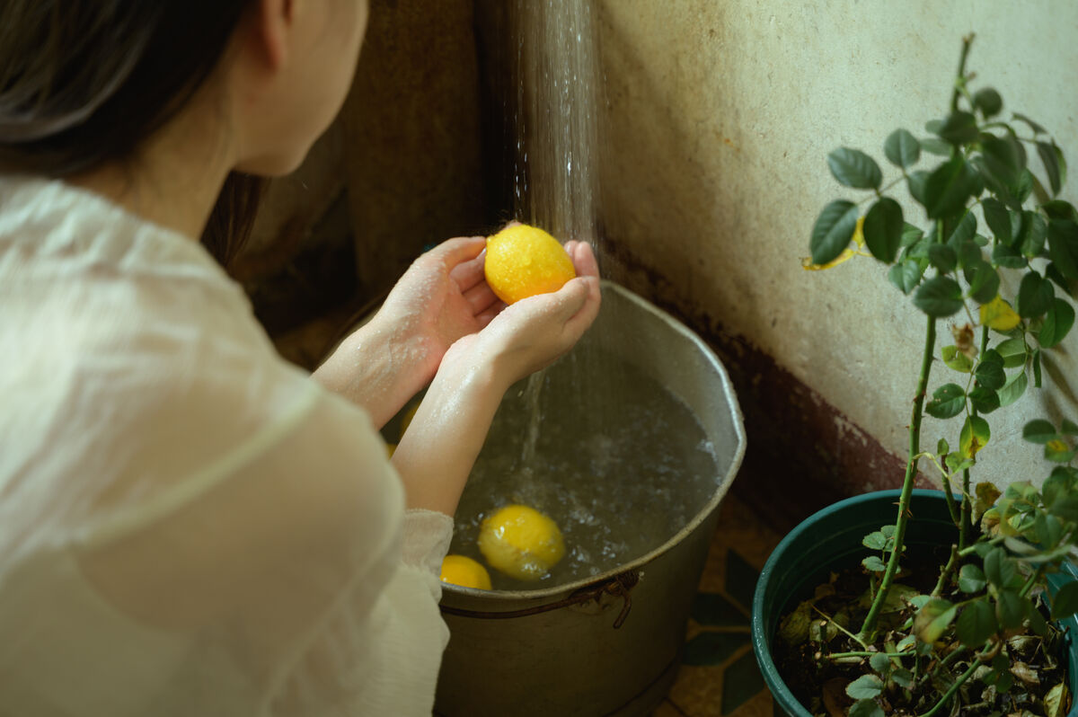 YiTuYu艺图语 Vol.10086 A Meng De Hu Ya