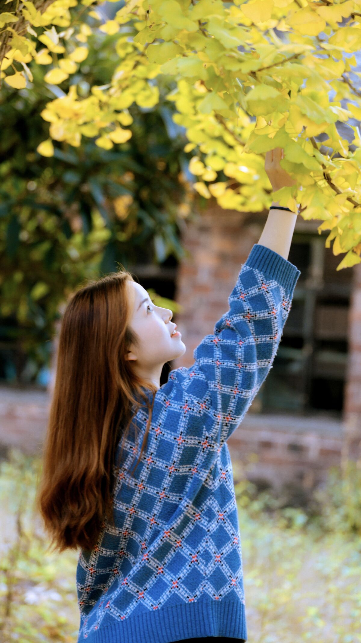 YiTuYu艺图语 Vol.10133 Xin Xin