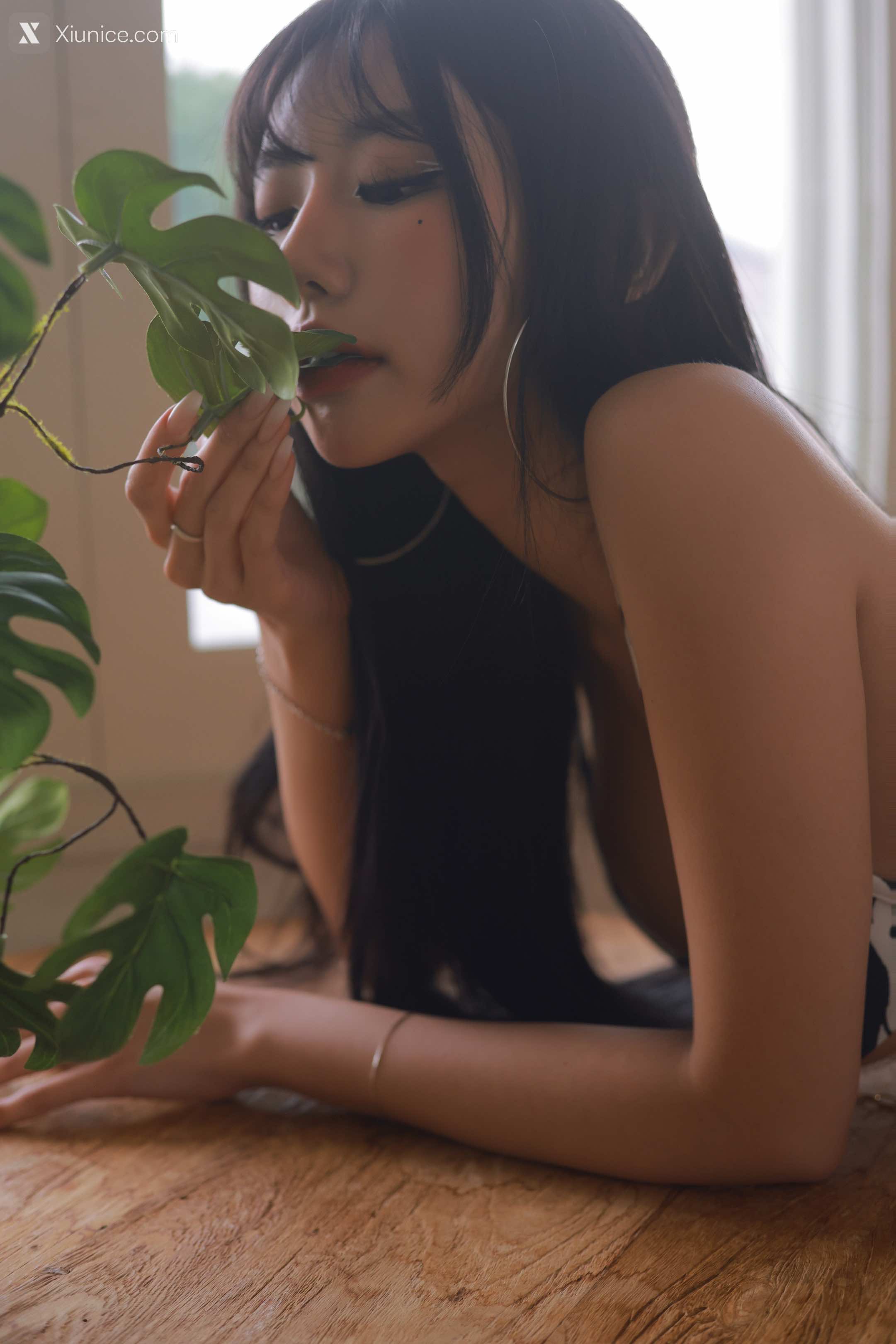 Dongeuran (동그란) – ZEBRA 4K