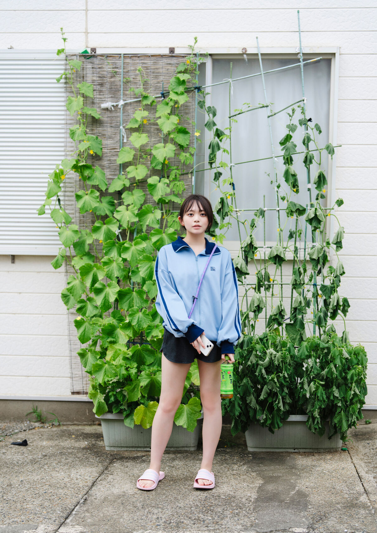 Mai Horai 蓬莱舞 - BRODYデジタル写真集 アイデン＆ティティ