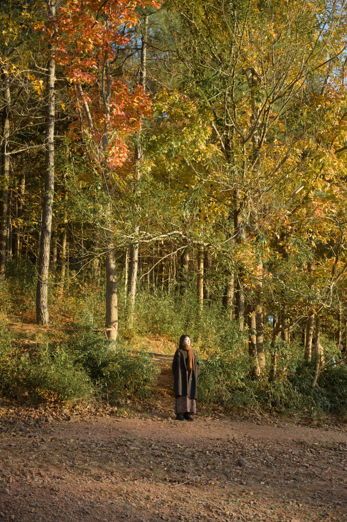 YiTuYu艺图语 Vol.10170 2000