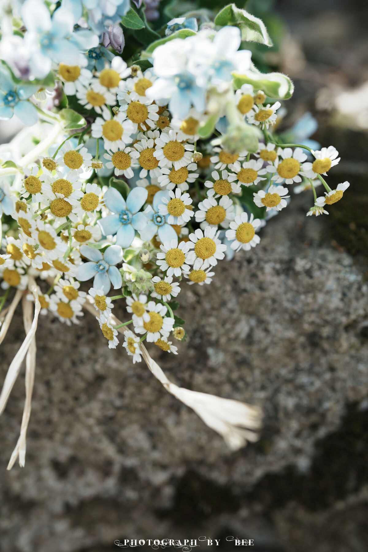 YiTuYu艺图语 Vol.10165 Gui Hua Ya