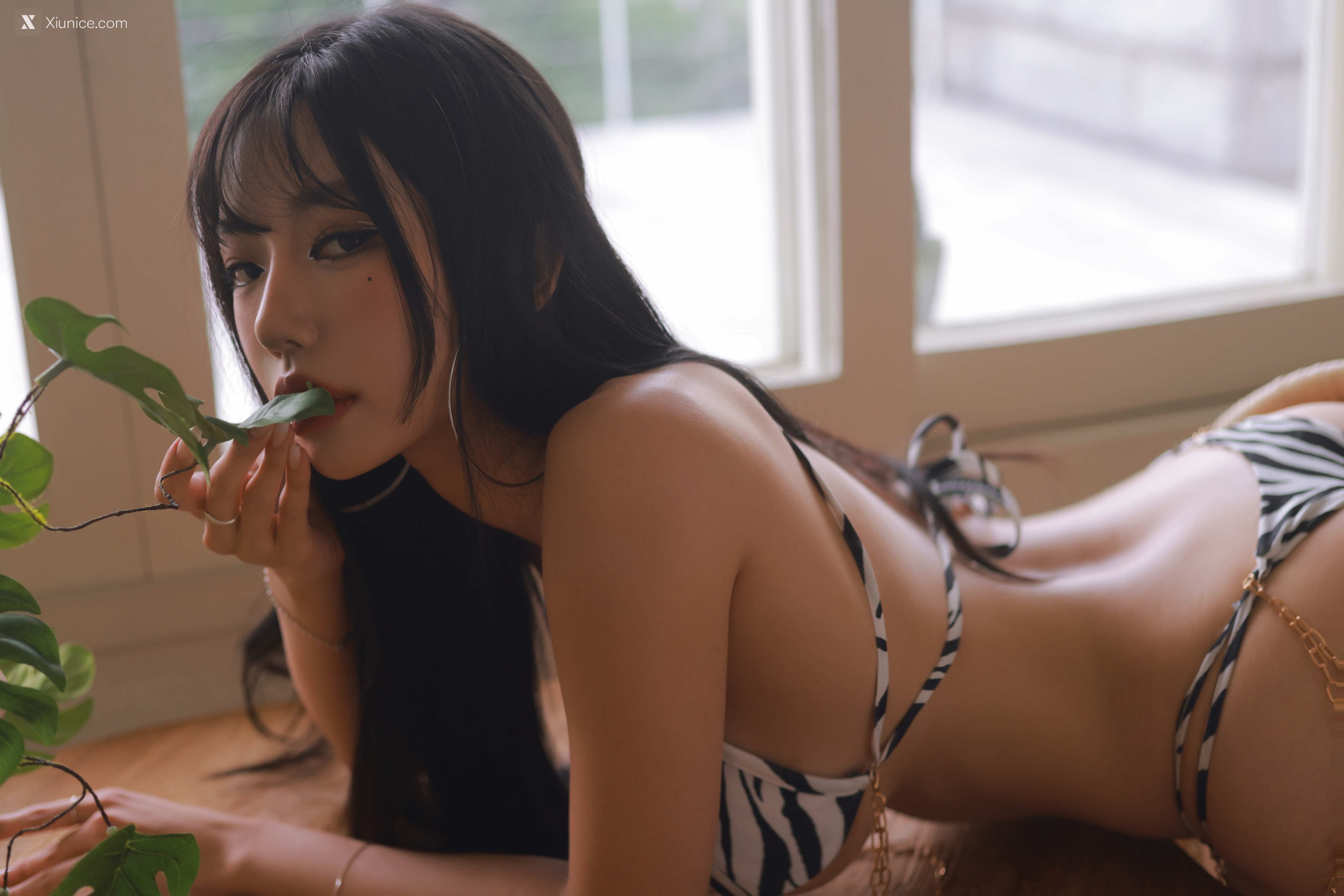 Dongeuran (동그란) – ZEBRA 4K