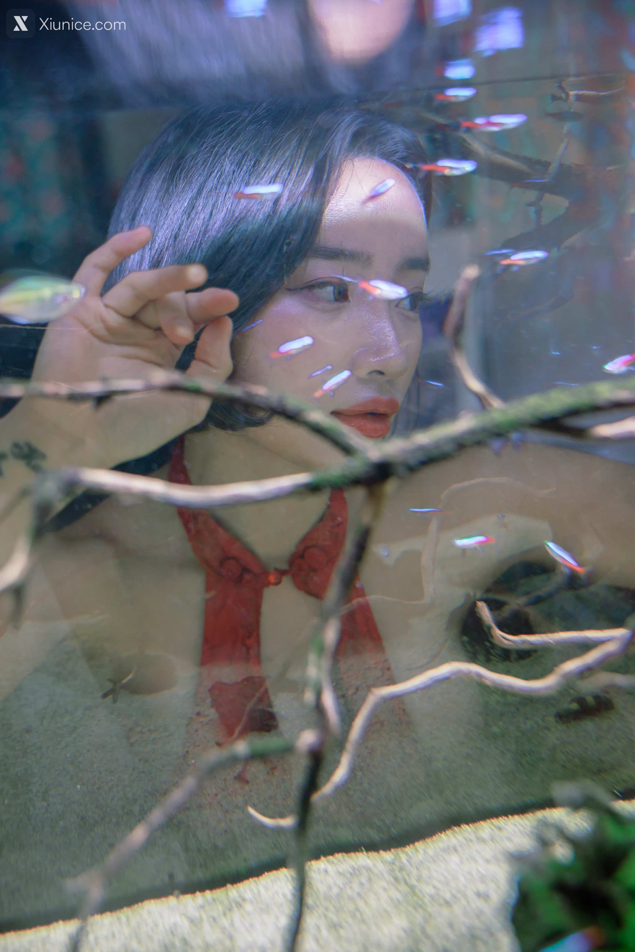 SweetBox Booty Queen – Vol.011 Hip Queen 4K