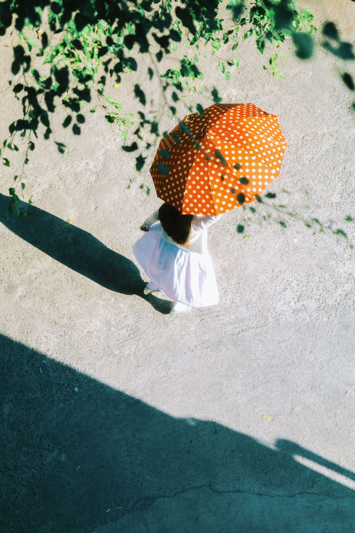 YiTuYu艺图语 Vol.10235 Miao Miao