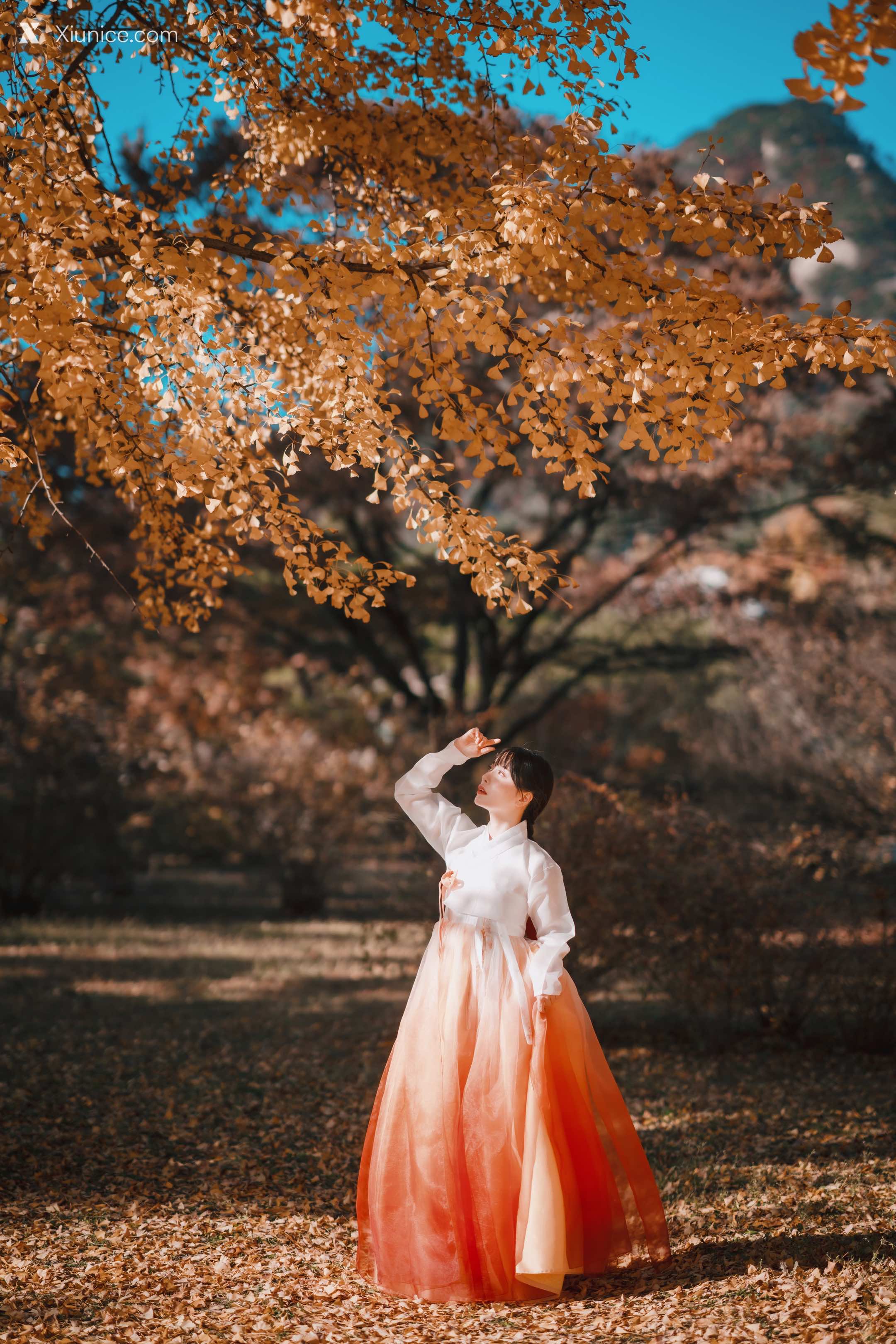 DJAWA Photo – DJAWA Photo – ZziZzi – Chuseok 4K