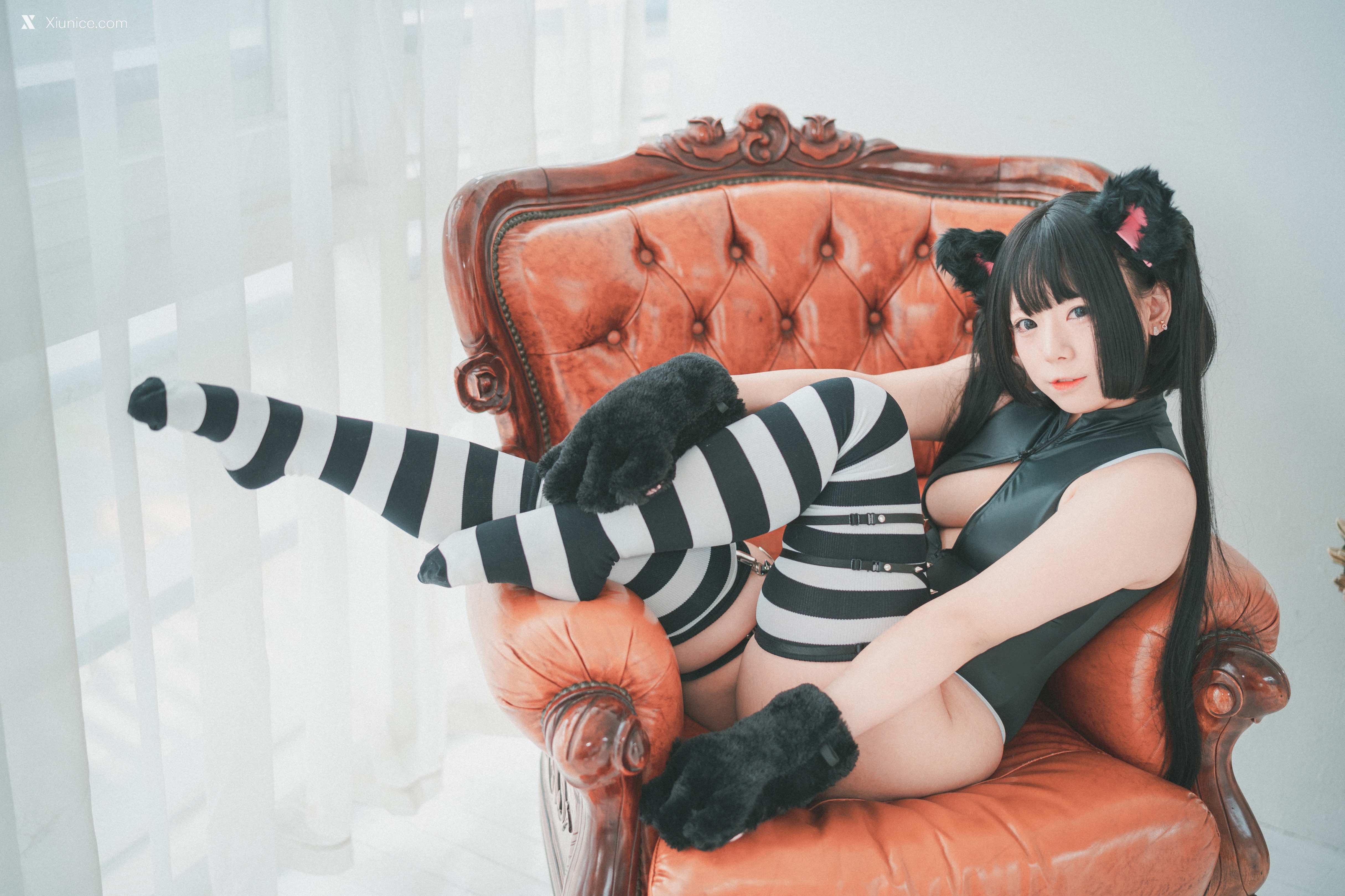 DJAWA Photo – Maruemon (마루에몽) – “Realised Feral Cat” 4K