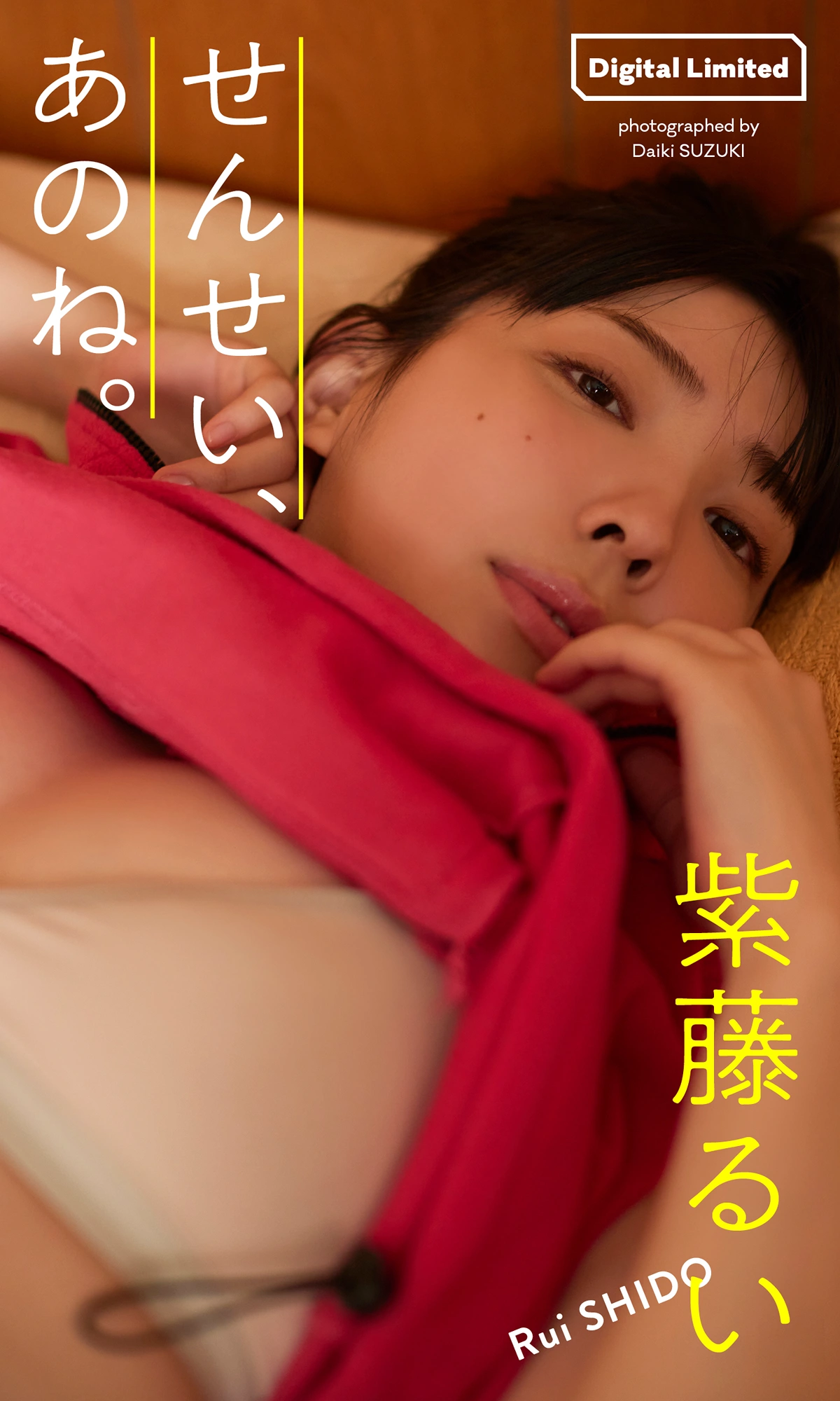 Rui Shido 紫藤るい, 週プレ Photo Book 「せんせい、あのね。」