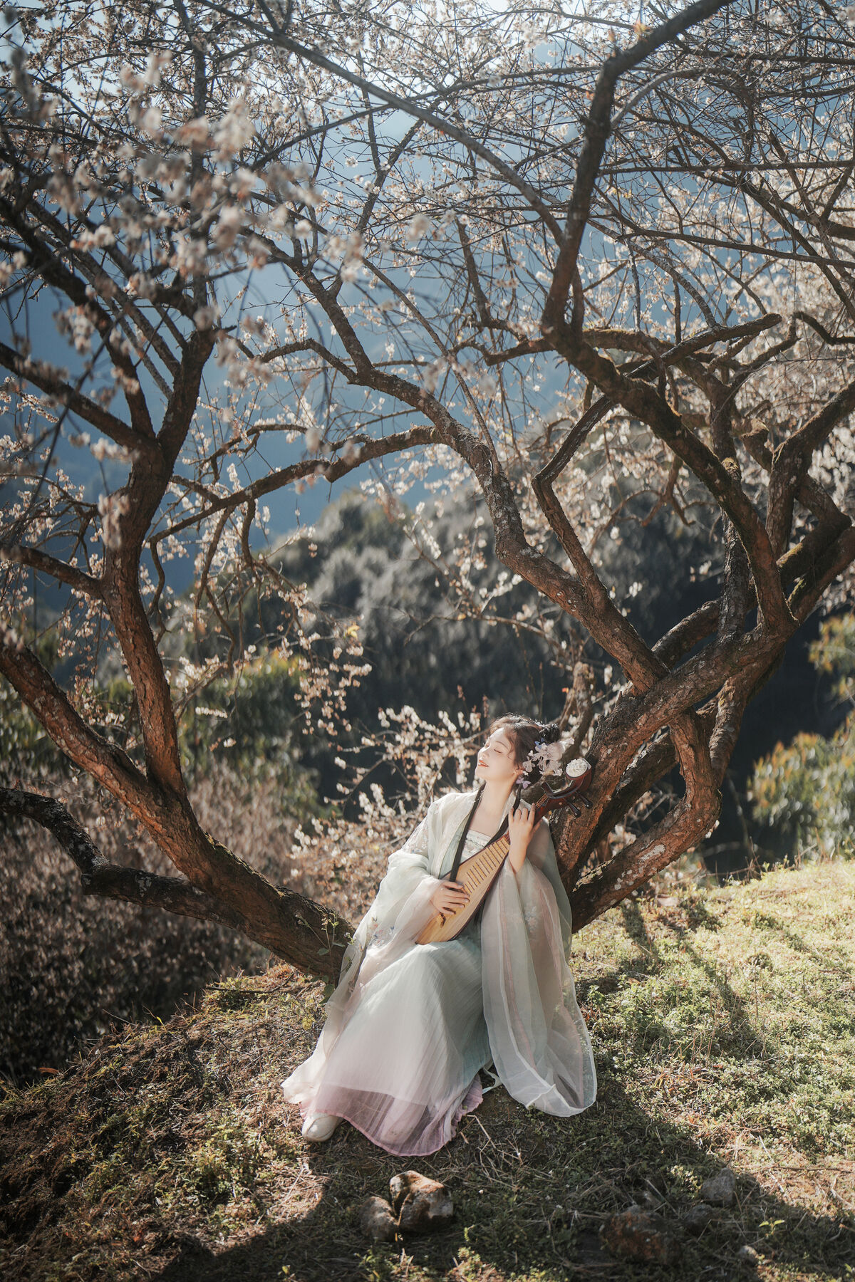 YiTuYu艺图语 Vol.10211 Yang Yang Yang Ya