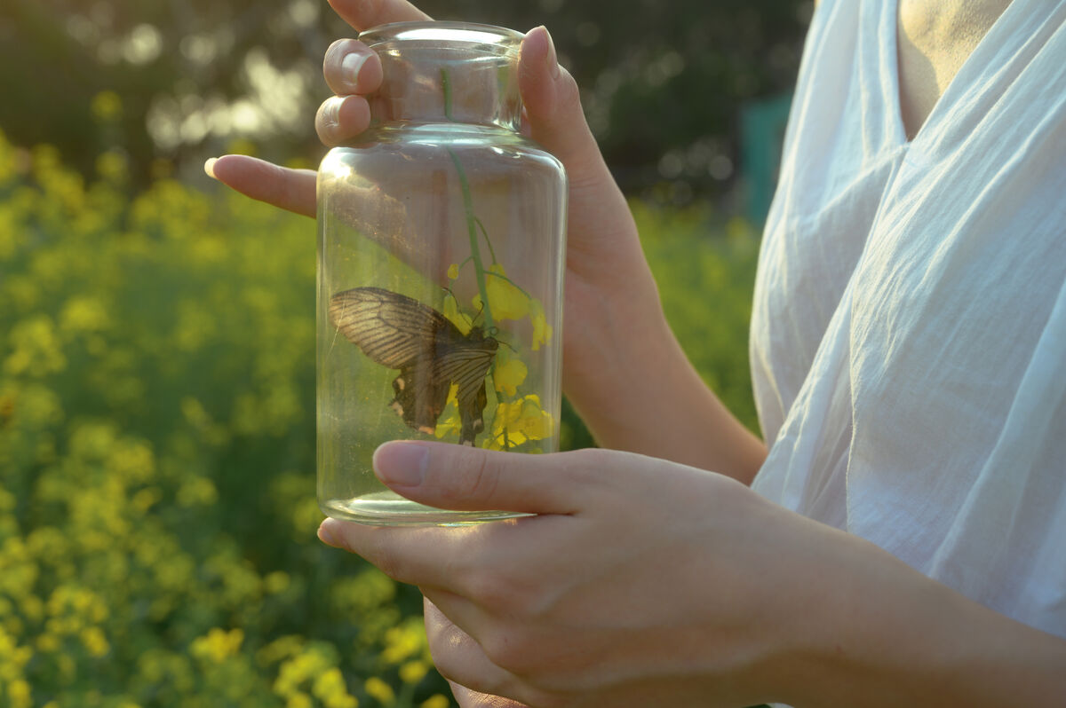 YiTuYu艺图语 Vol.10186 Xin Jie