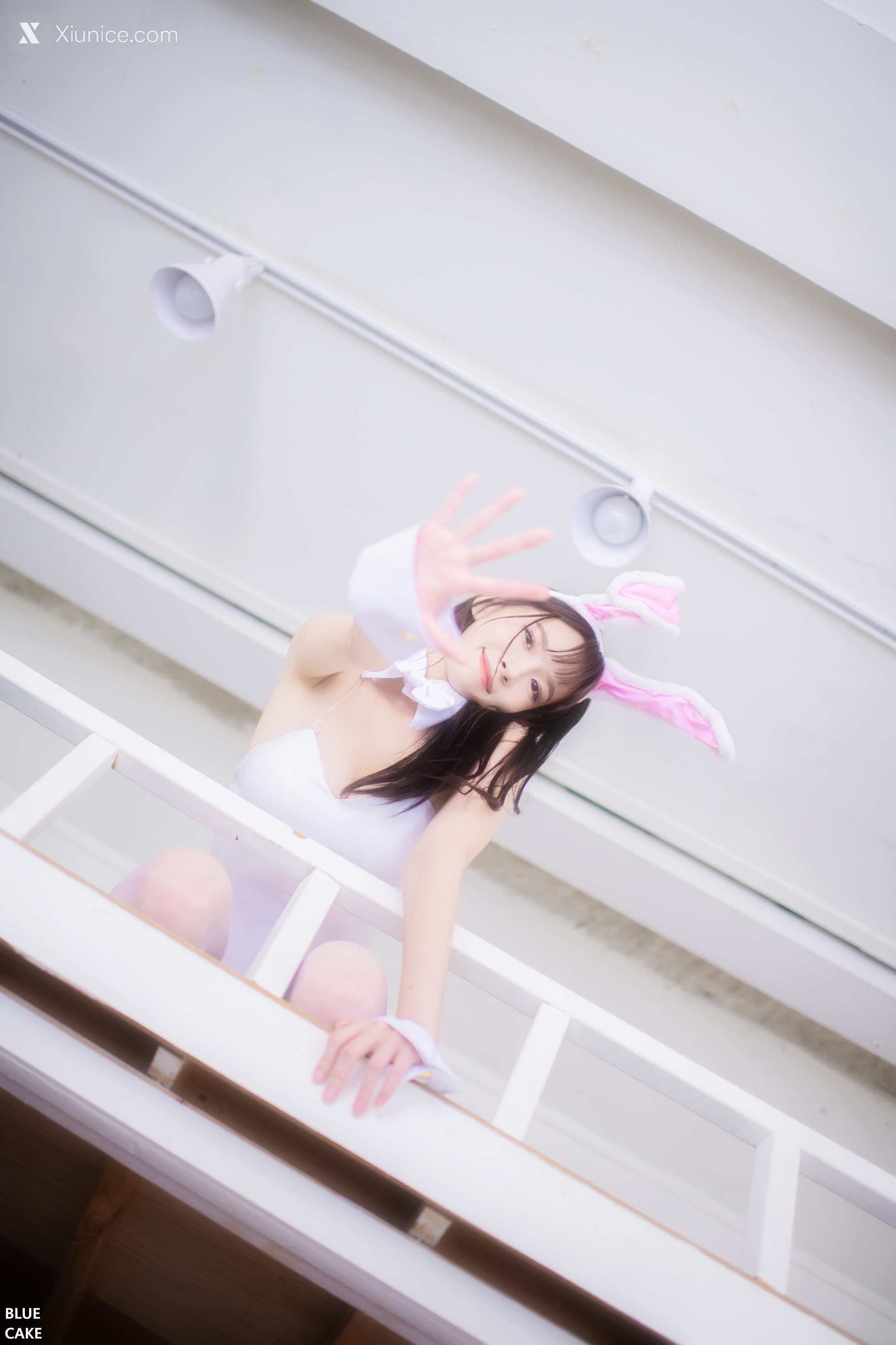 BLUECAKE Ahrin – White Black Bunny – BlueCake 4K