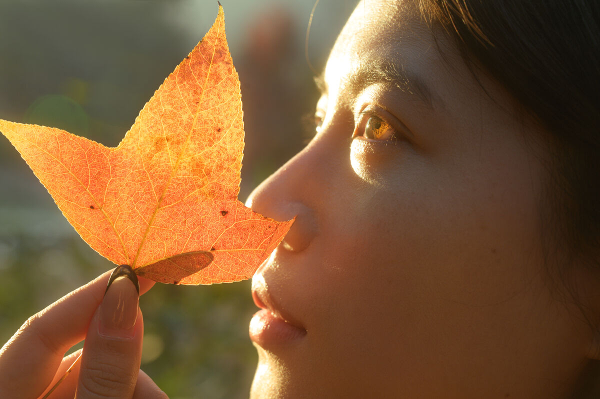 YiTuYu艺图语 Vol.10170 2000