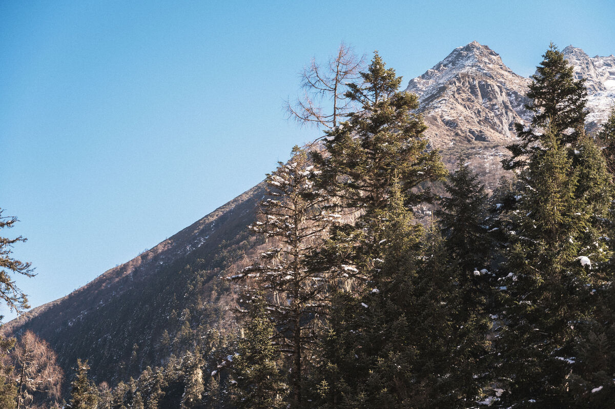 YiTuYu艺图语 Vol.10081 A Miao De Fan Fan