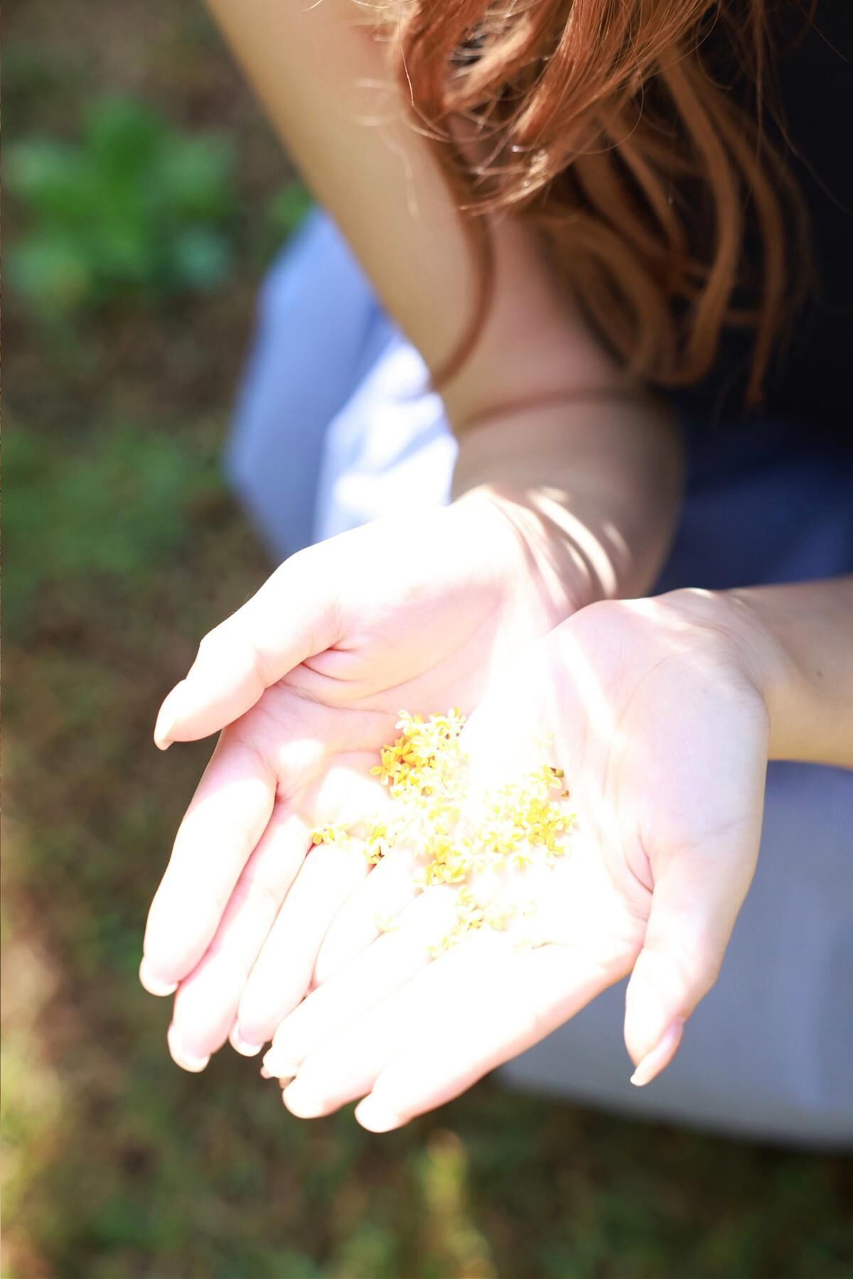 Konan Koyoi 小宵こなん - FLASHデジタル写真集R とろふわH乳ヌード Complete