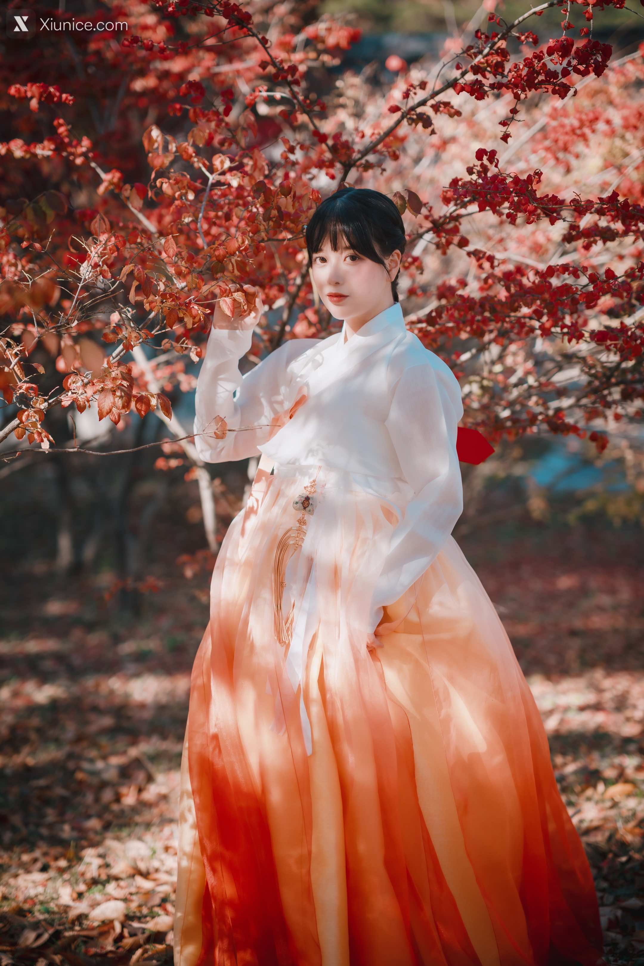 DJAWA Photo – DJAWA Photo – ZziZzi – Chuseok 4K