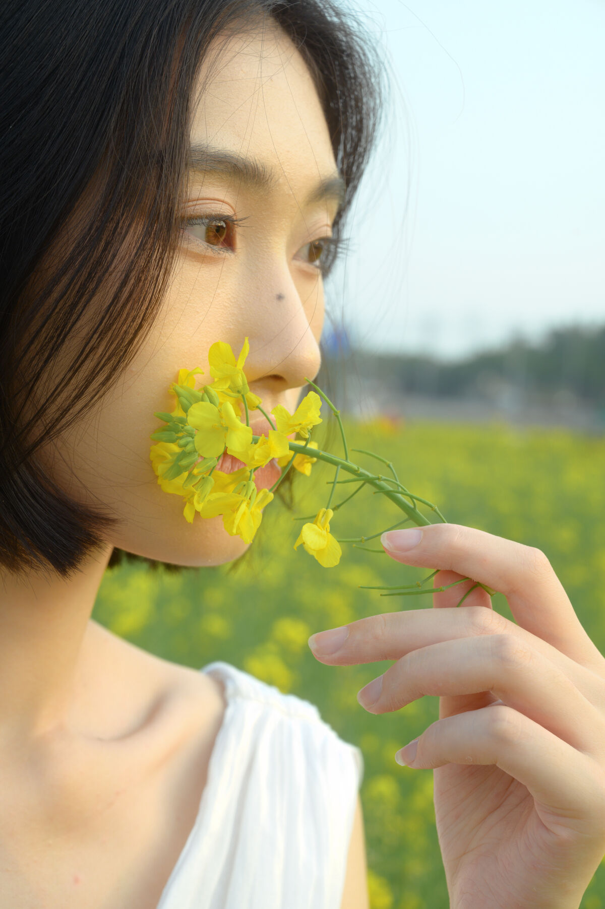 YiTuYu艺图语 Vol.10186 Xin Jie