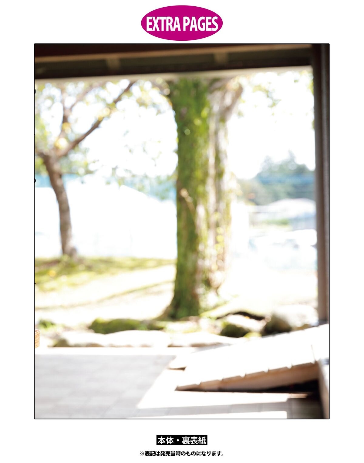 Sayuri Date 伊達さゆり - フォト And インタビューブック 置いてきた傘と地 Part03