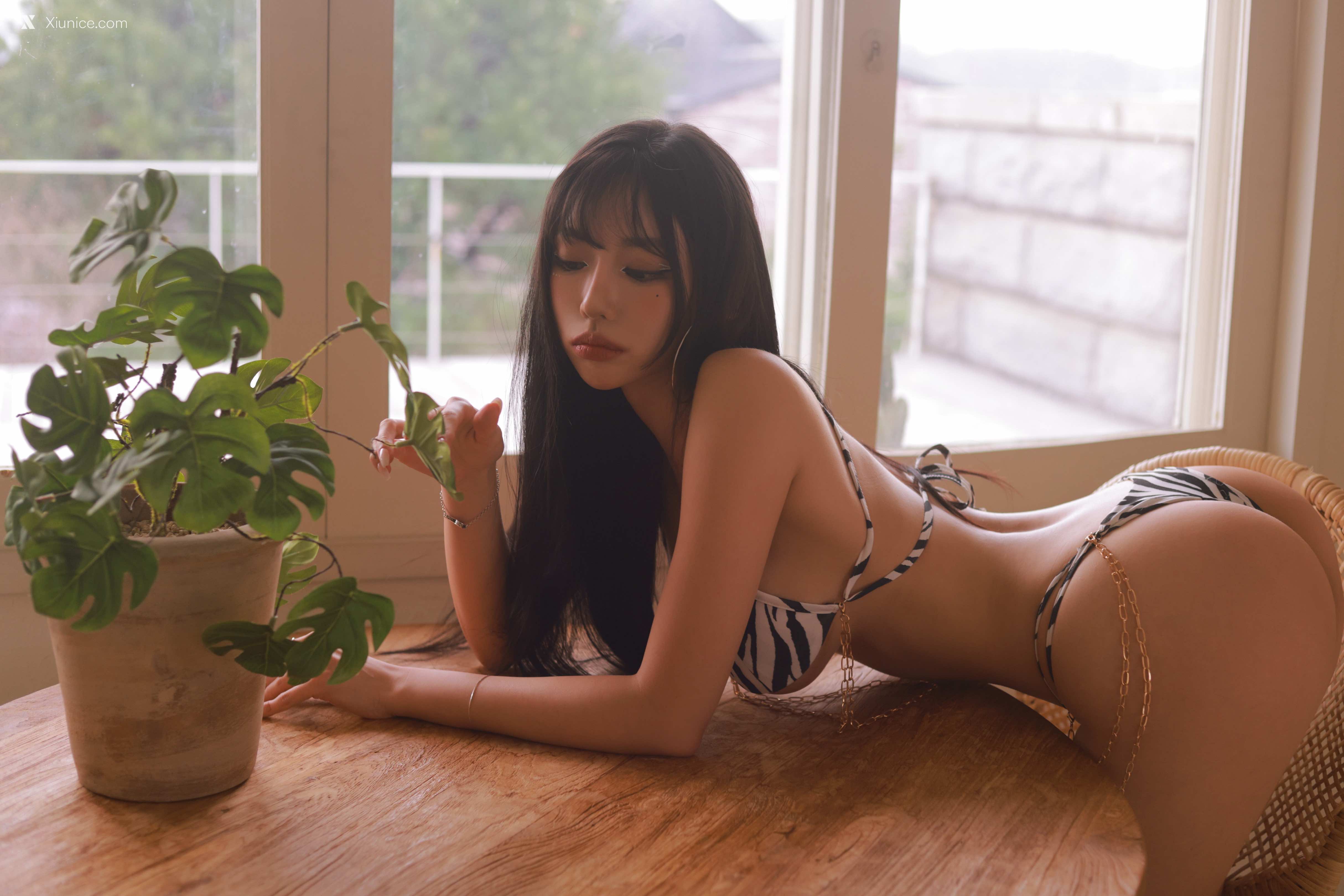 Dongeuran (동그란) – ZEBRA 4K