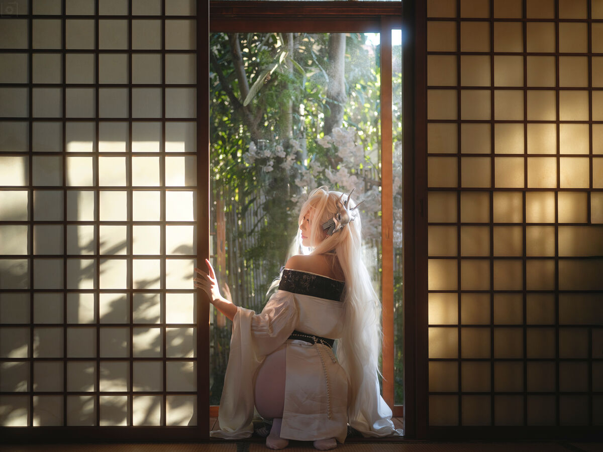 Coser@湖里狸 - 白凤