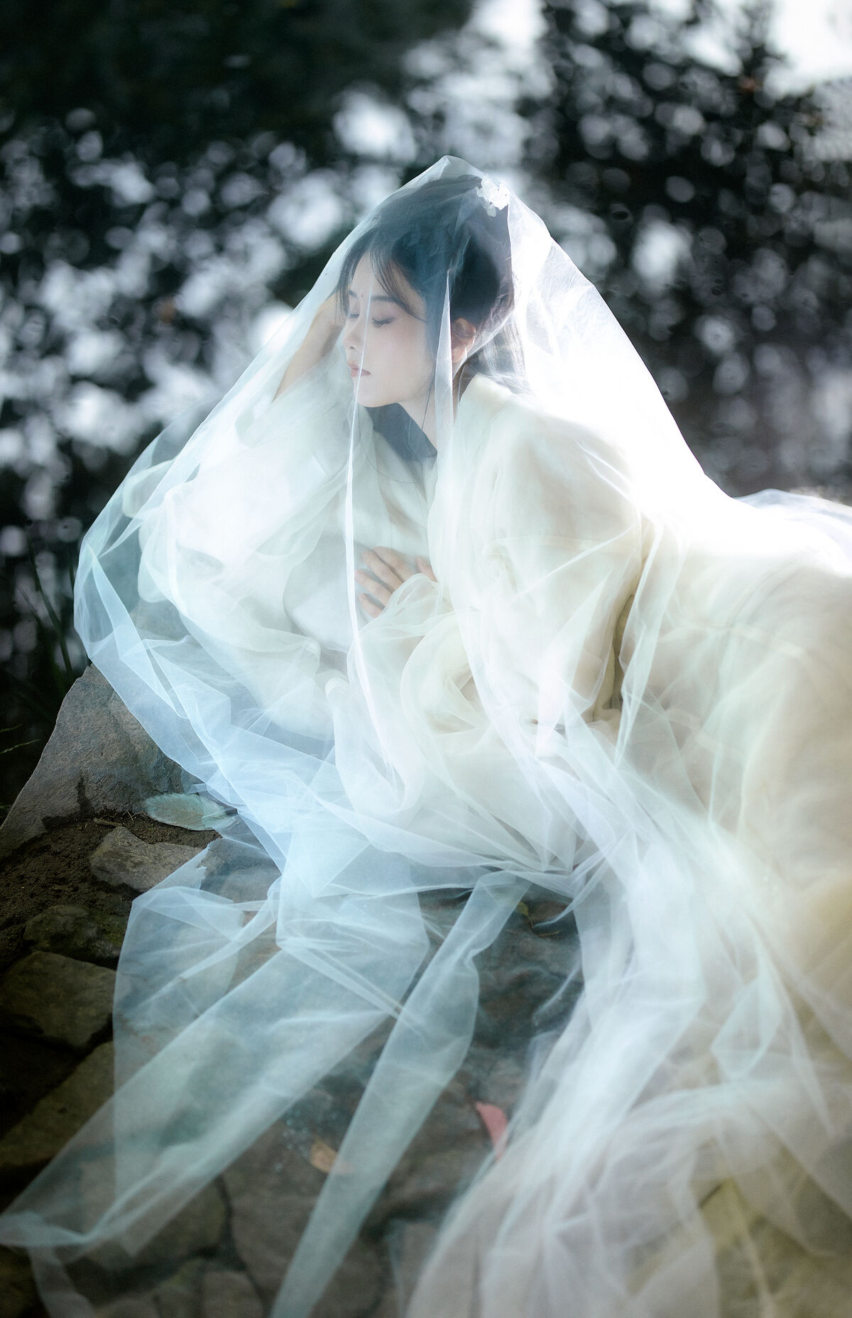 YiTuYu艺图语 Vol.10082 Ren Jian Yue-Su Chen