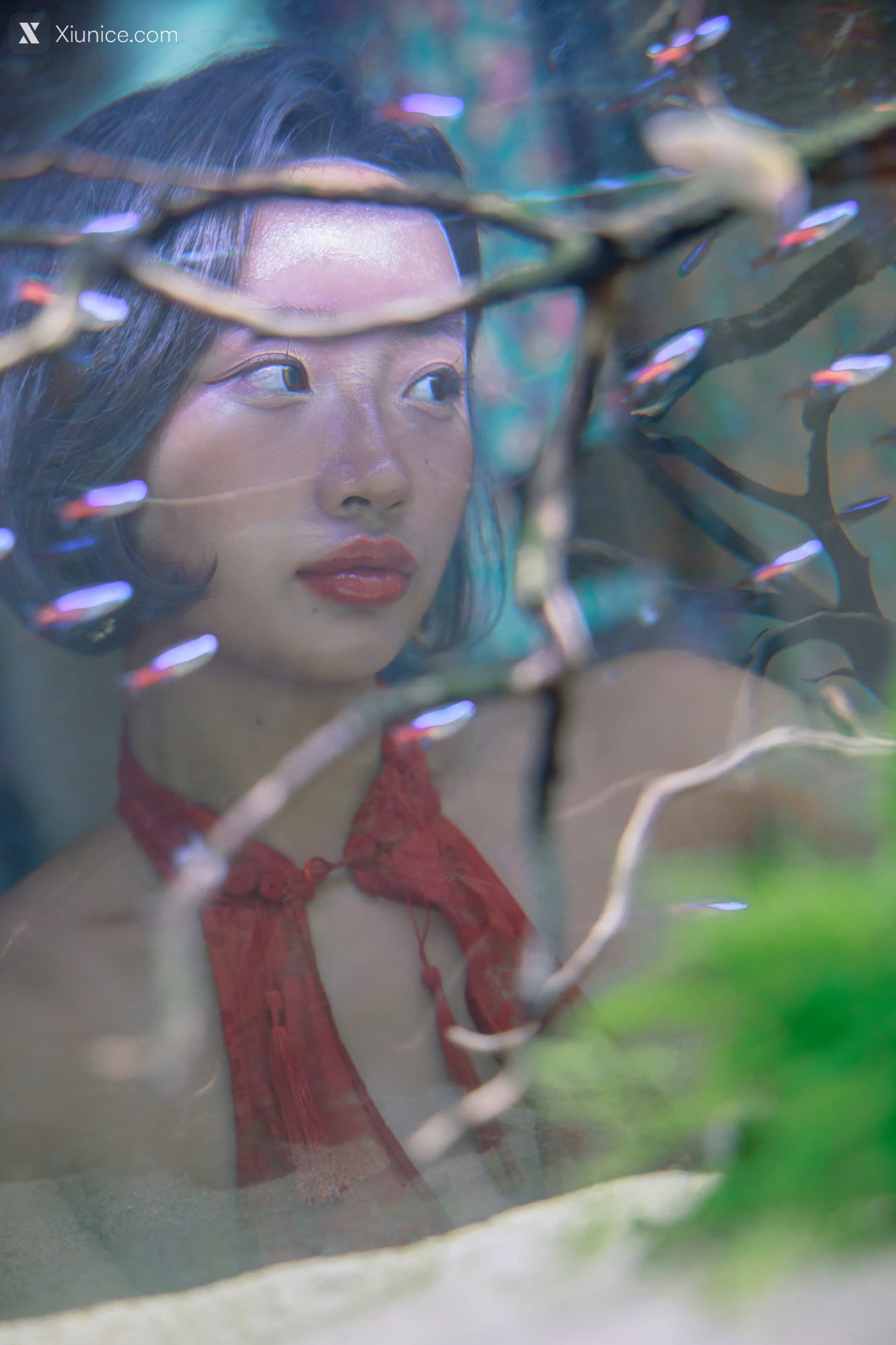 SweetBox Booty Queen – Vol.011 Hip Queen 4K