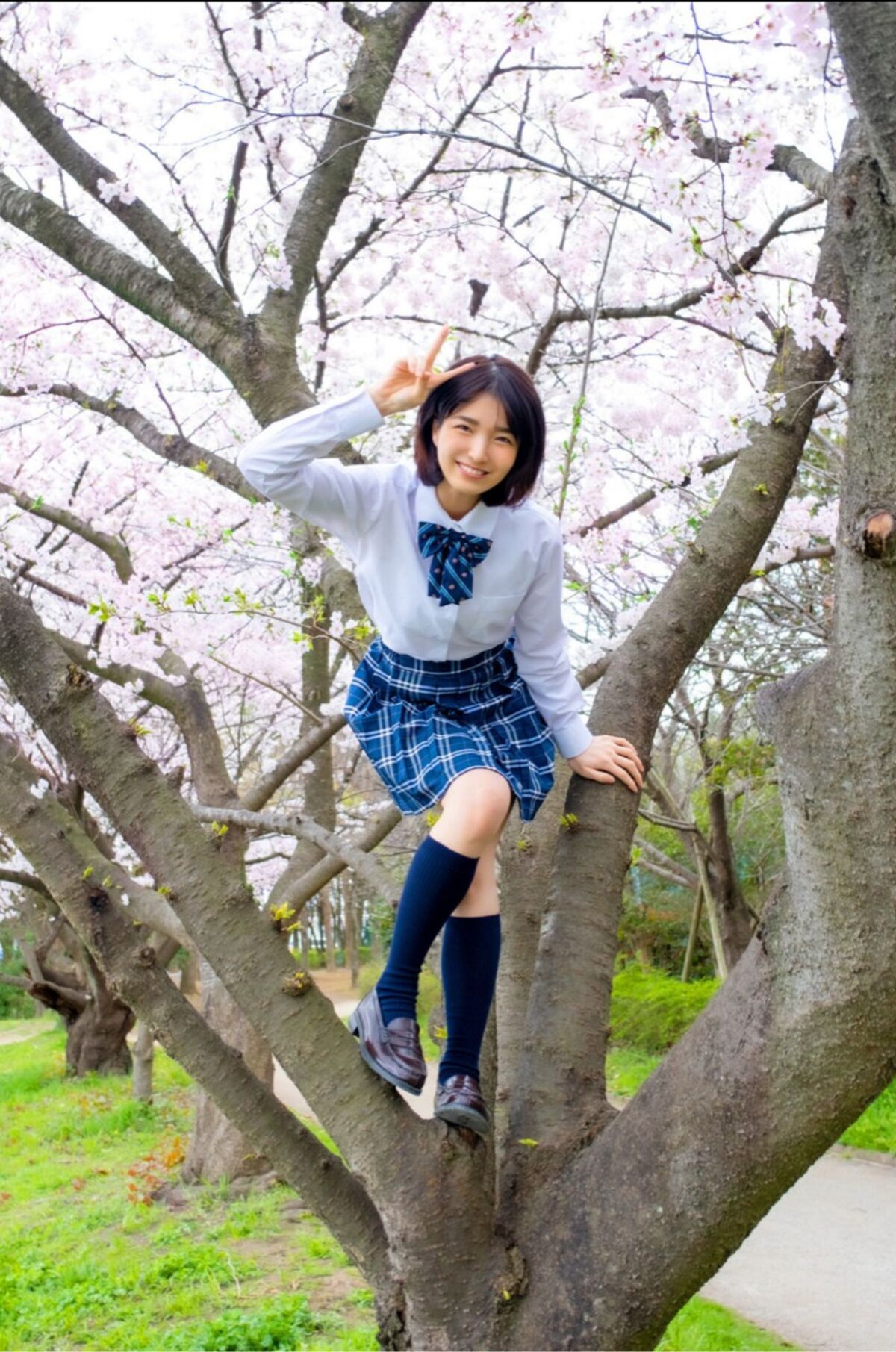 Sumire Kuramoto 倉本すみれ - Youth Aoharu 青春アオハル