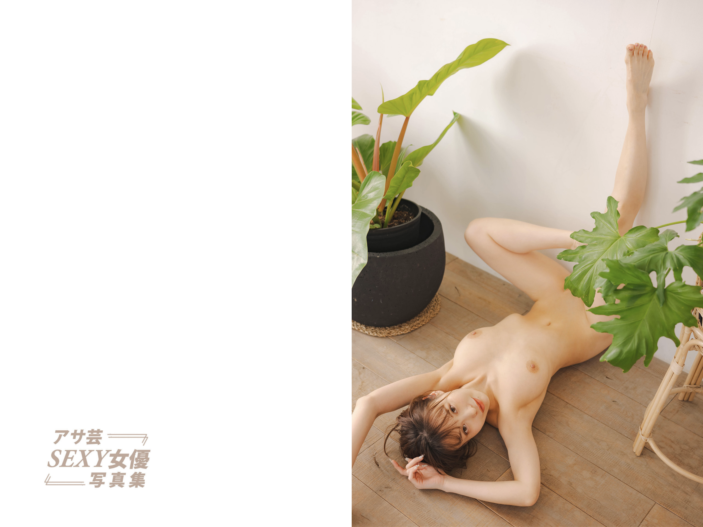 アサ芸SEXY女優写真集 32歳のシンデレラ 美白美乳の極上ボディ 入田真綾 3 アサ芸SEXY女優写真集 32歳のシンデレラ 美白美乳の極上ボディ 入田真綾