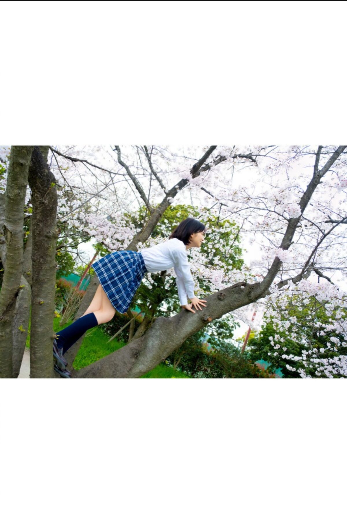 Sumire Kuramoto 倉本すみれ - Youth Aoharu 青春アオハル