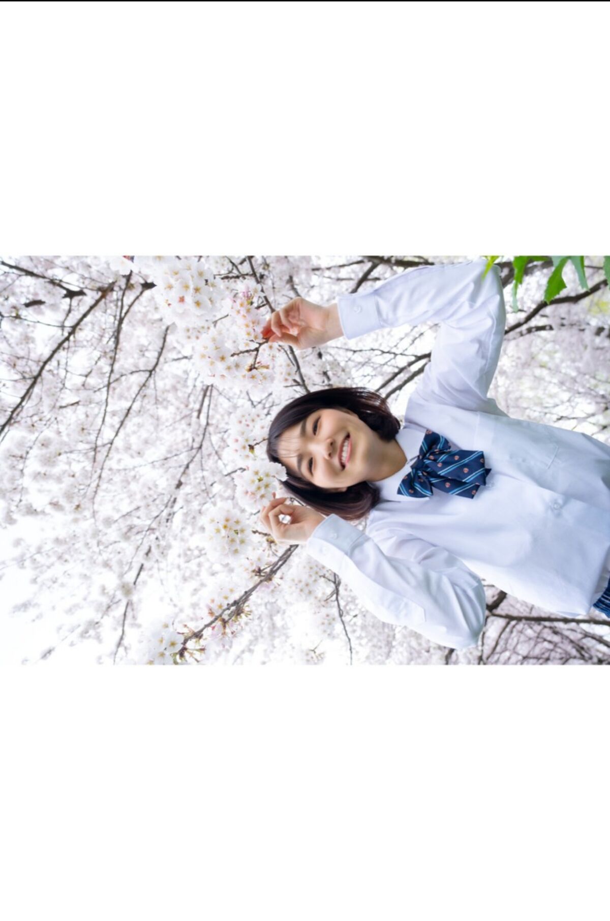 Sumire Kuramoto 倉本すみれ - Youth Aoharu 青春アオハル