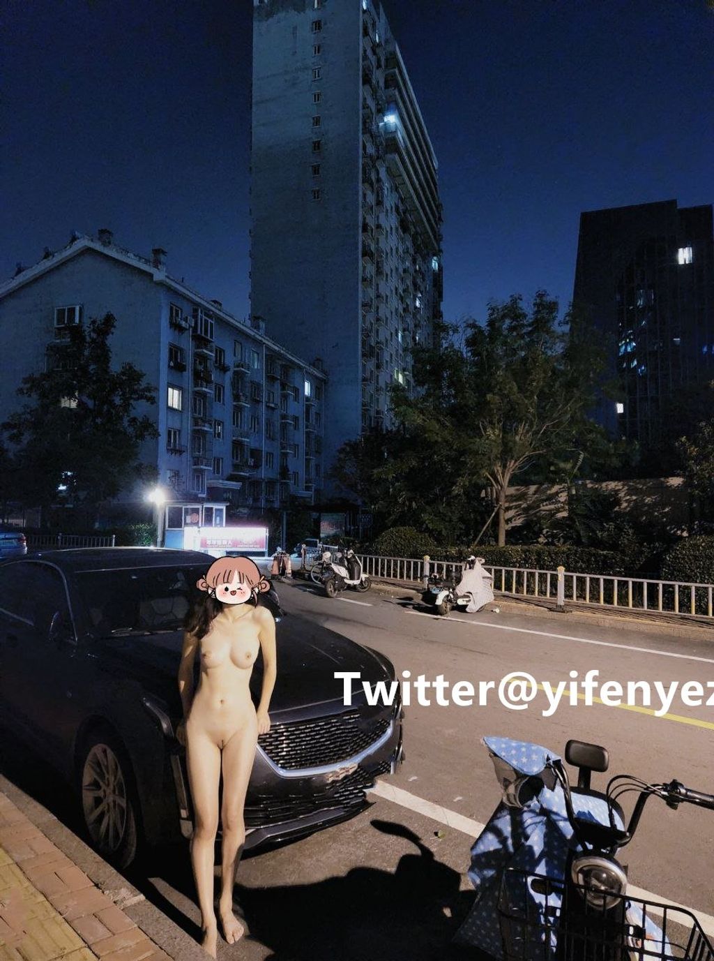 [OtherXXX] 一枫叶子： 人前露出极品露出合集
