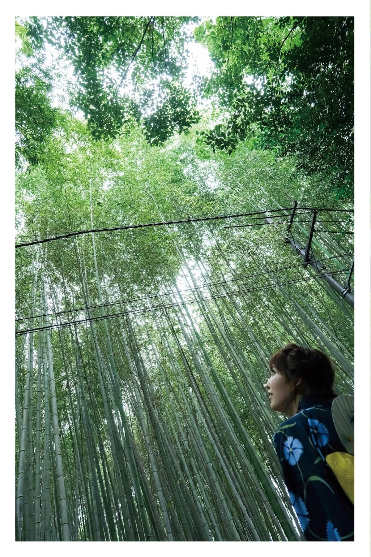 Shiori Tokunaga 徳永しおり - Travel Guide 旅のしおり