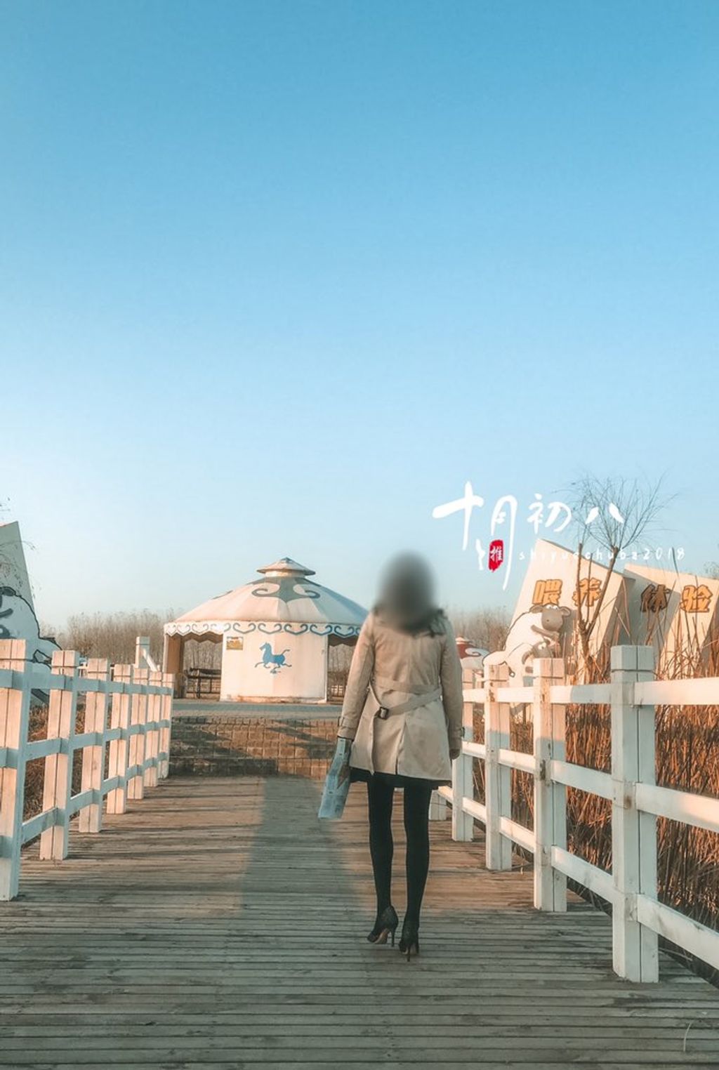十月初八： 人前露出私拍合集