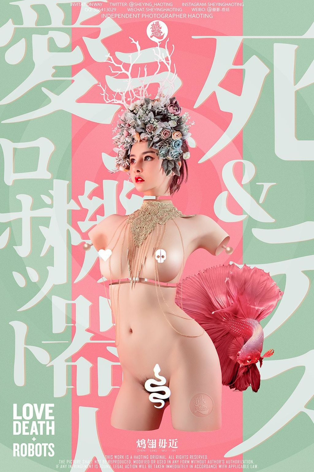 浩廷： sheying_haoting